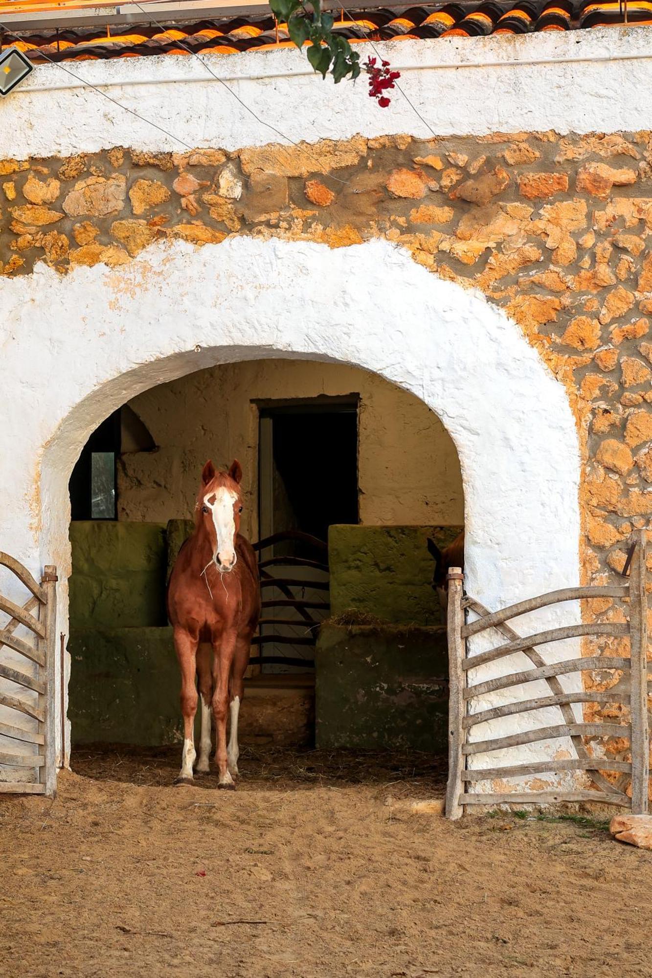 Villa Son Mestres De Baix *