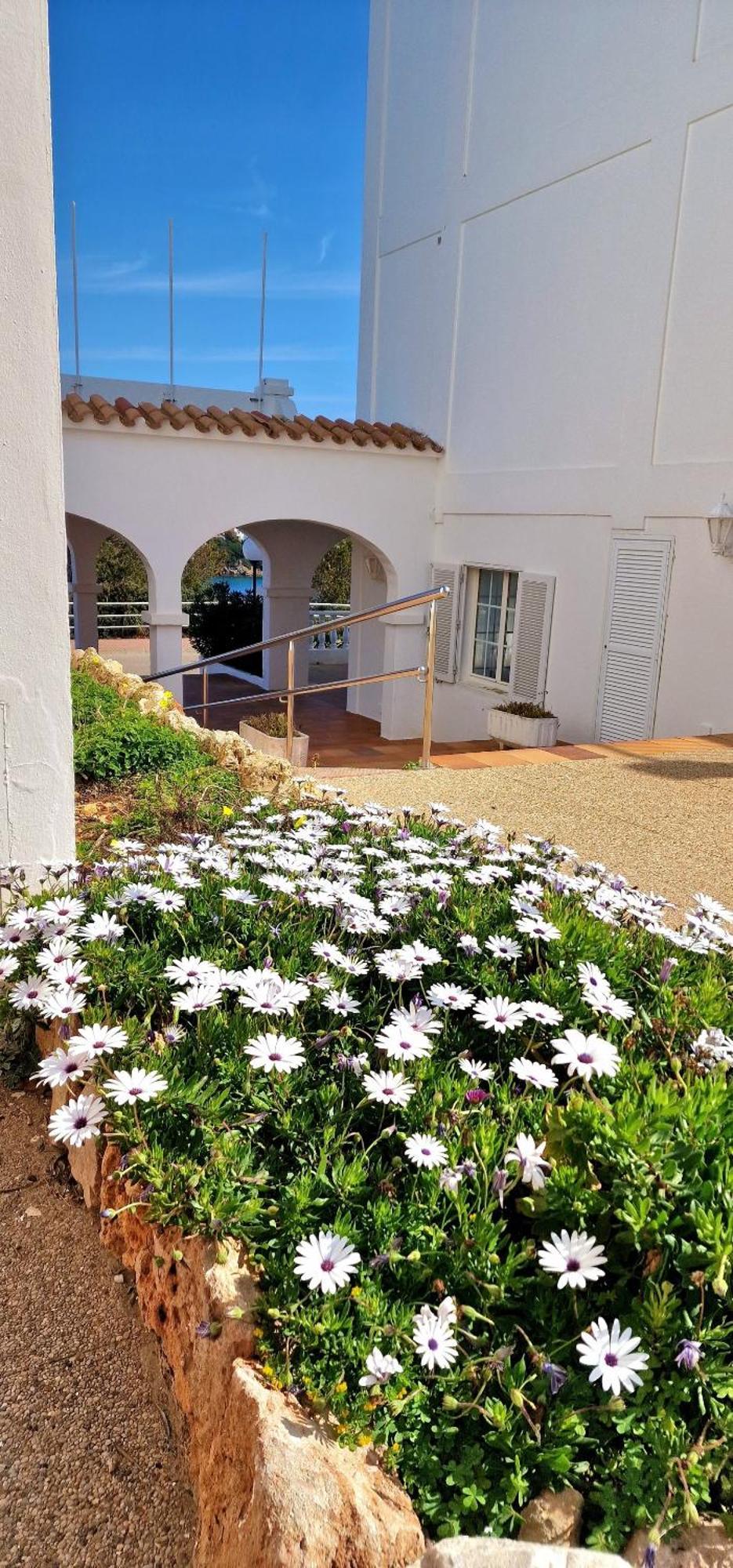 Apartment Apartamento Castellsol 105. *
