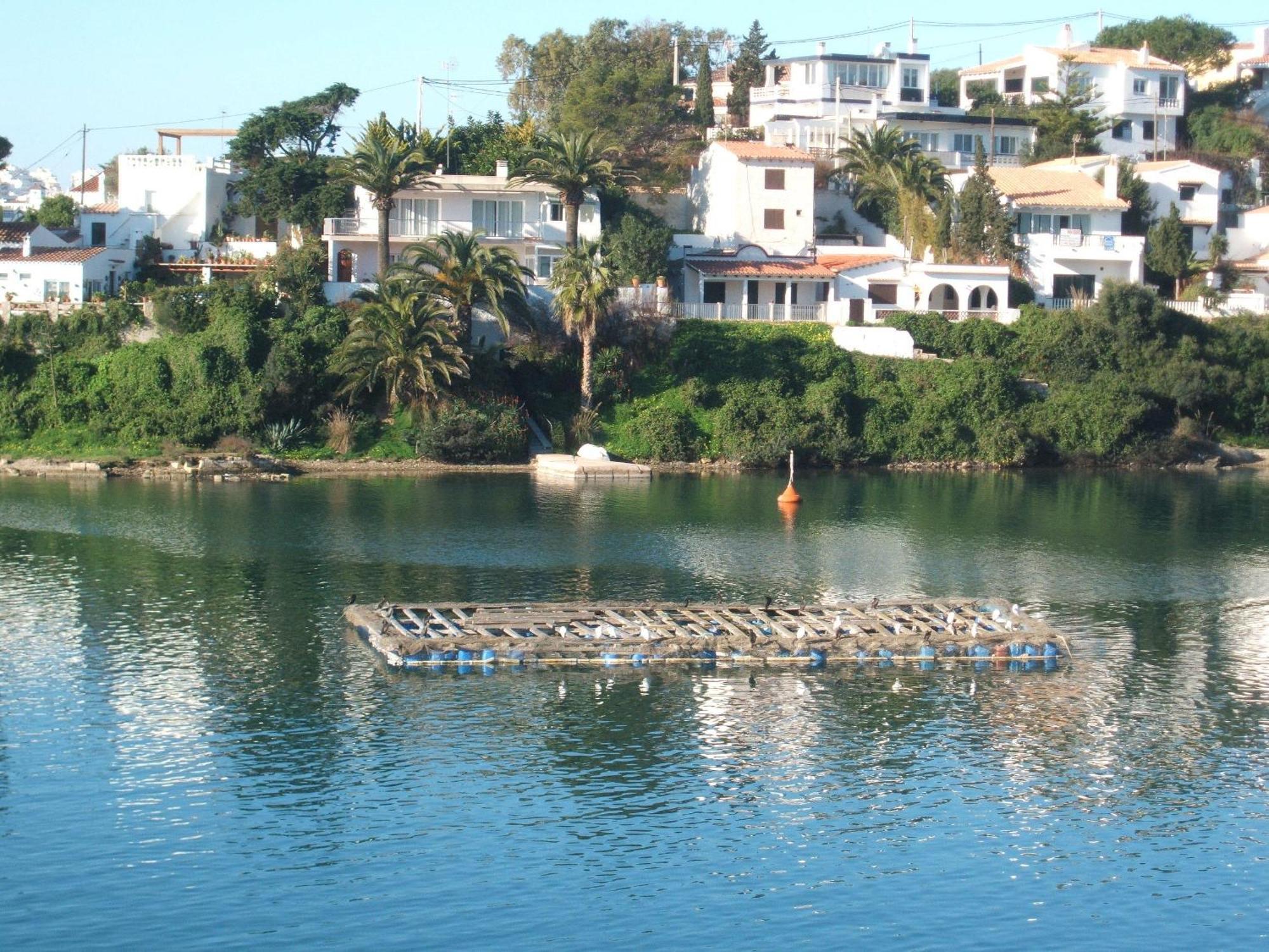 Del Almirante