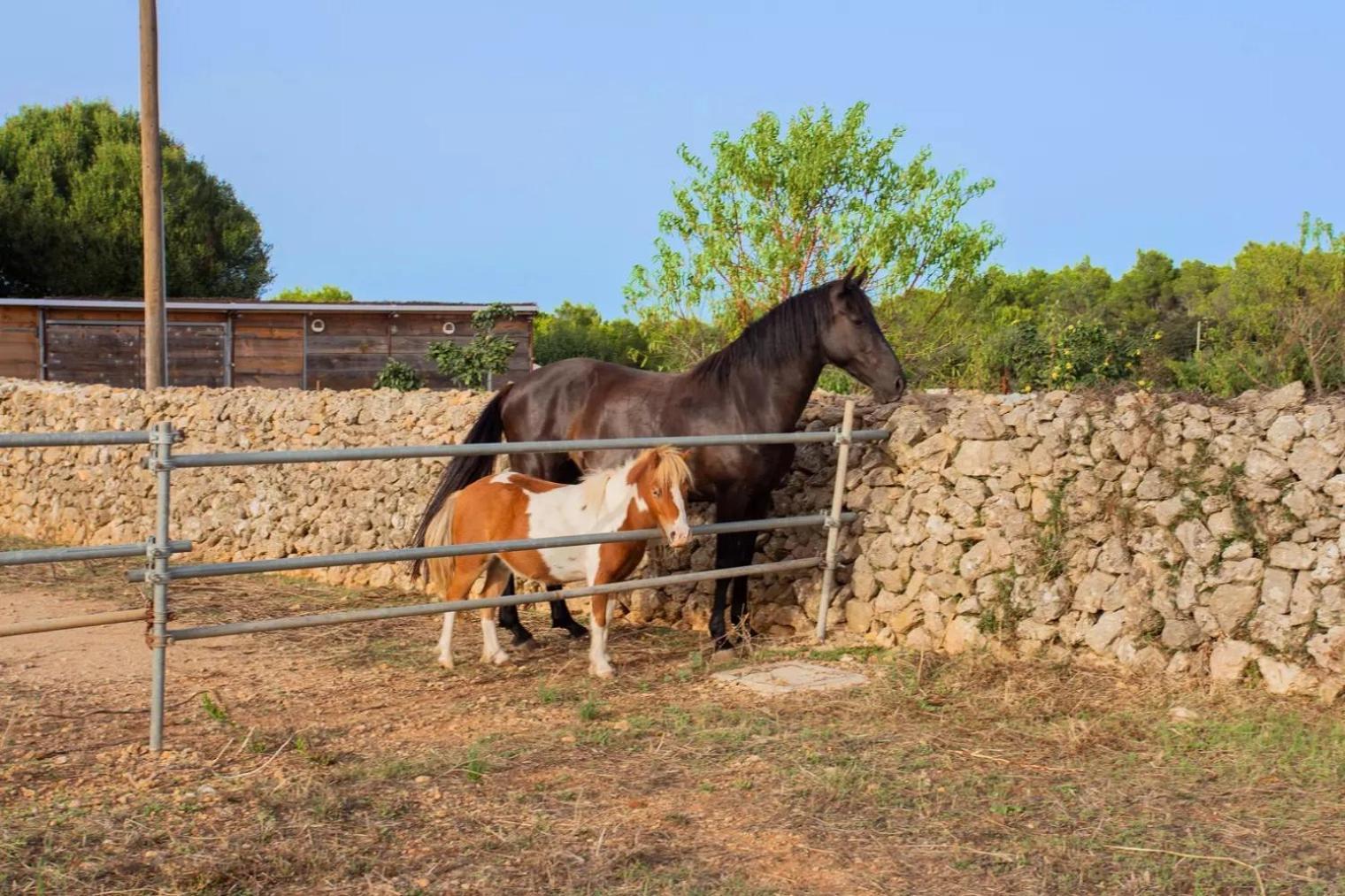 Menorca Llimpet Agroturismo *
