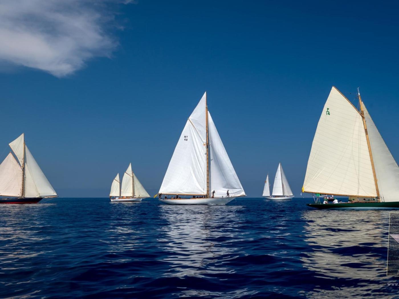 4 En Primera Linea De Mar Santo Tomás