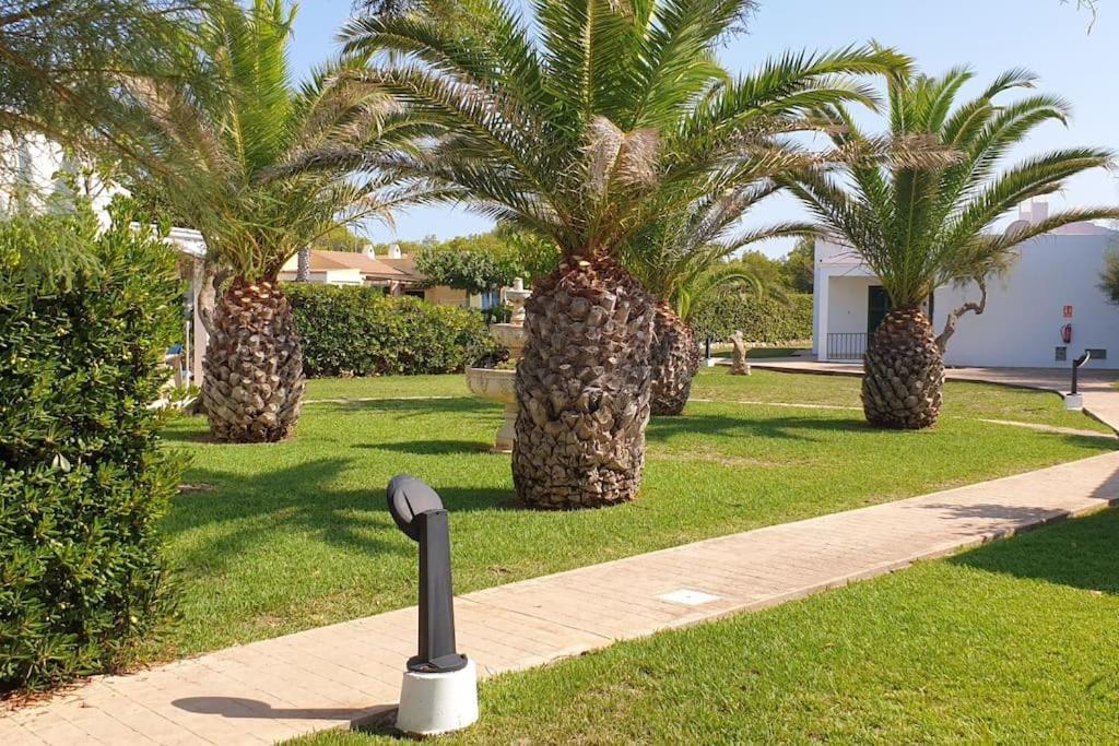 Apartamento Golondrinas *