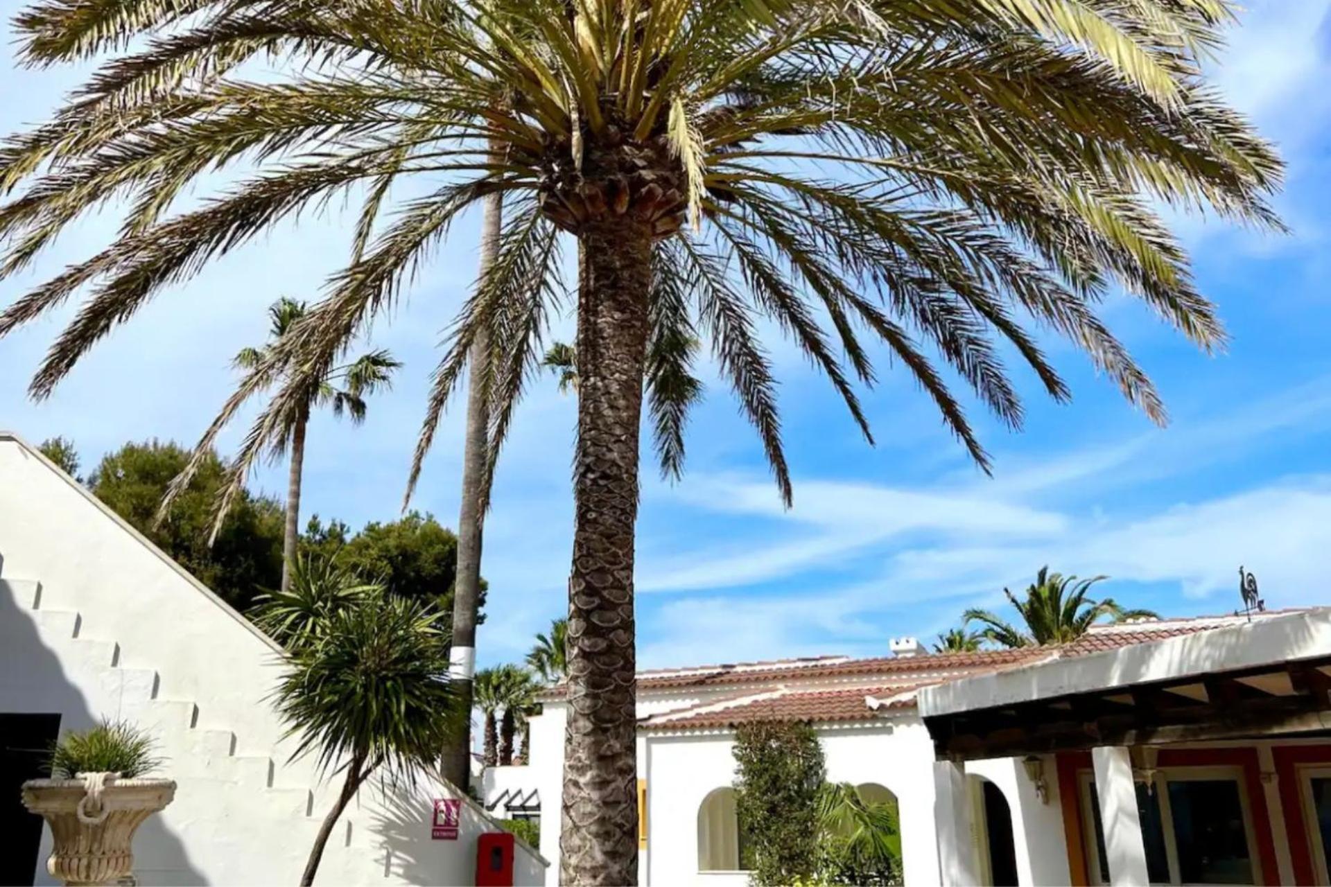 Chic Menorca Near The And Port * Cala'N Bosch (Menorca)