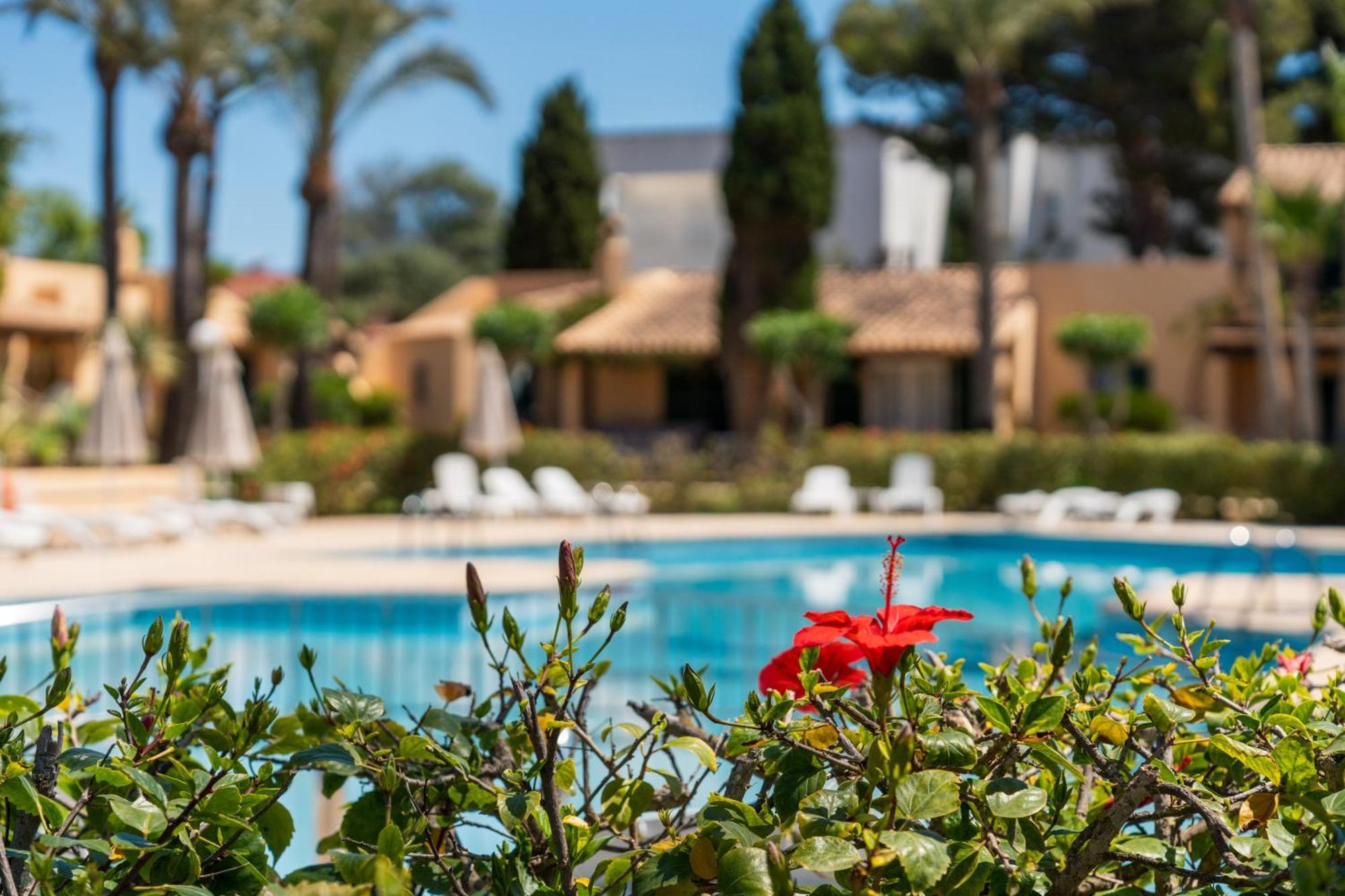 Enjoy - Oasis Con Piscina Y A Metros Del Mar *