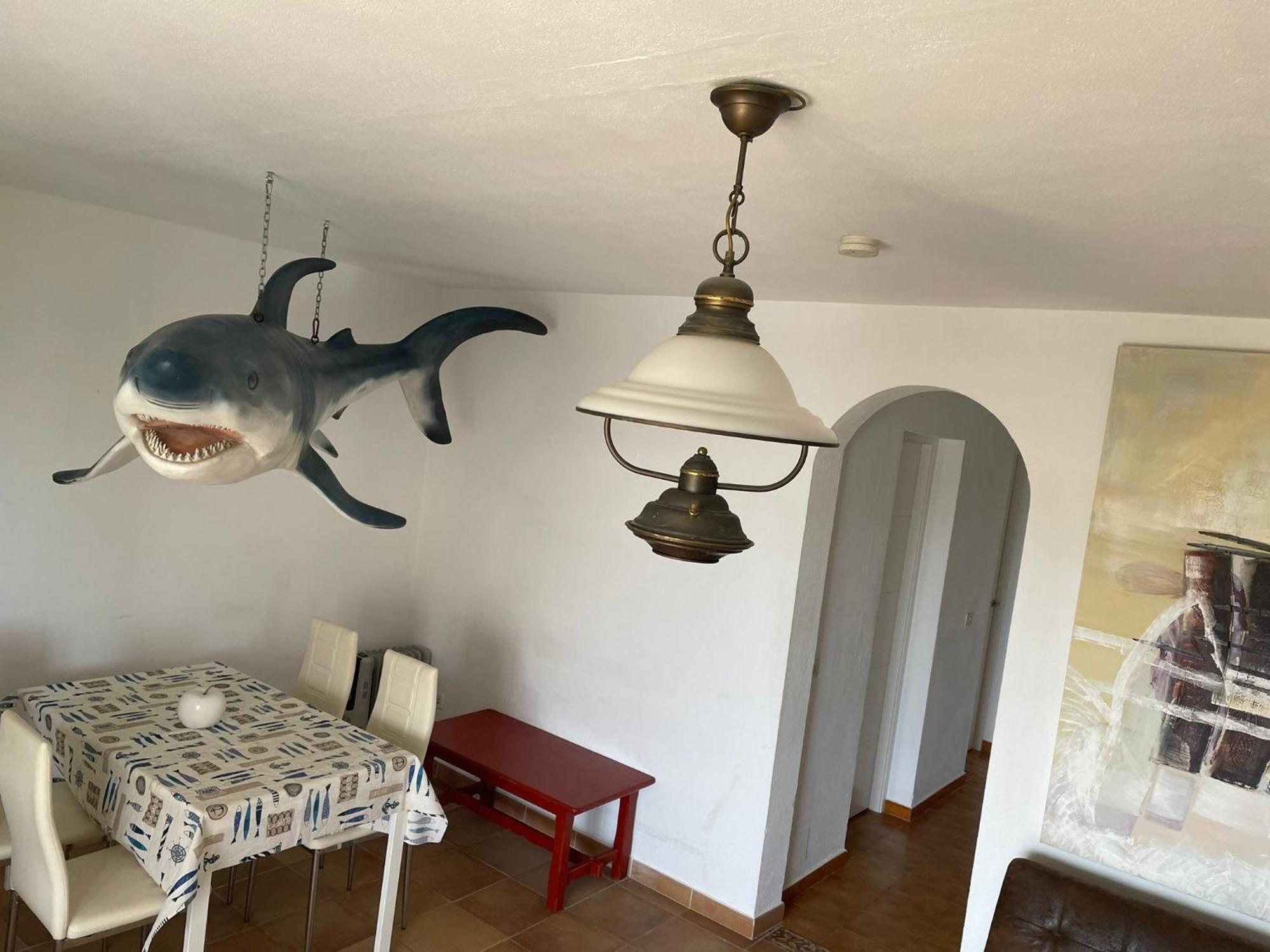 La Casa Del Tiburon Apartment