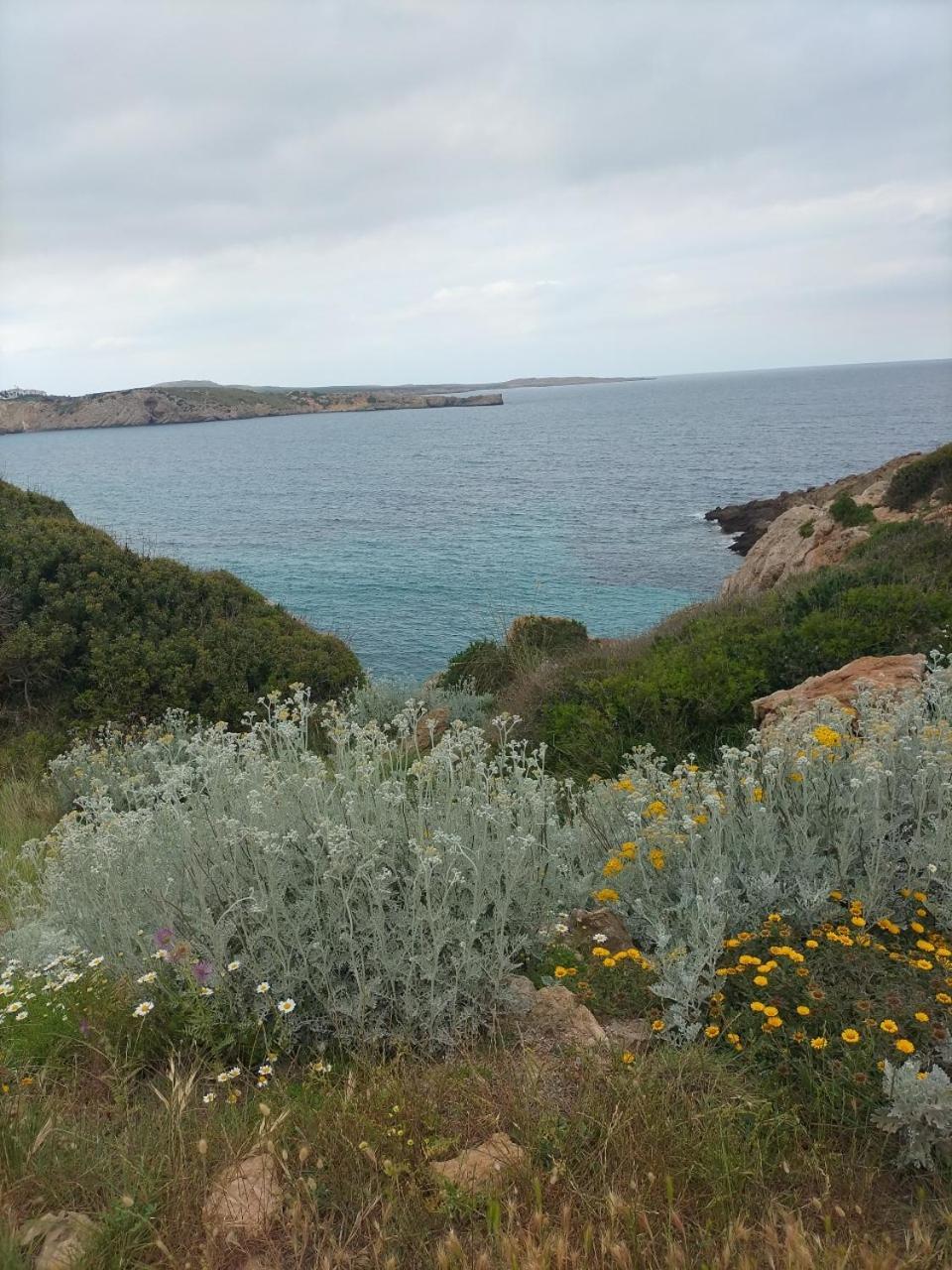 Castell Arenal Breeze