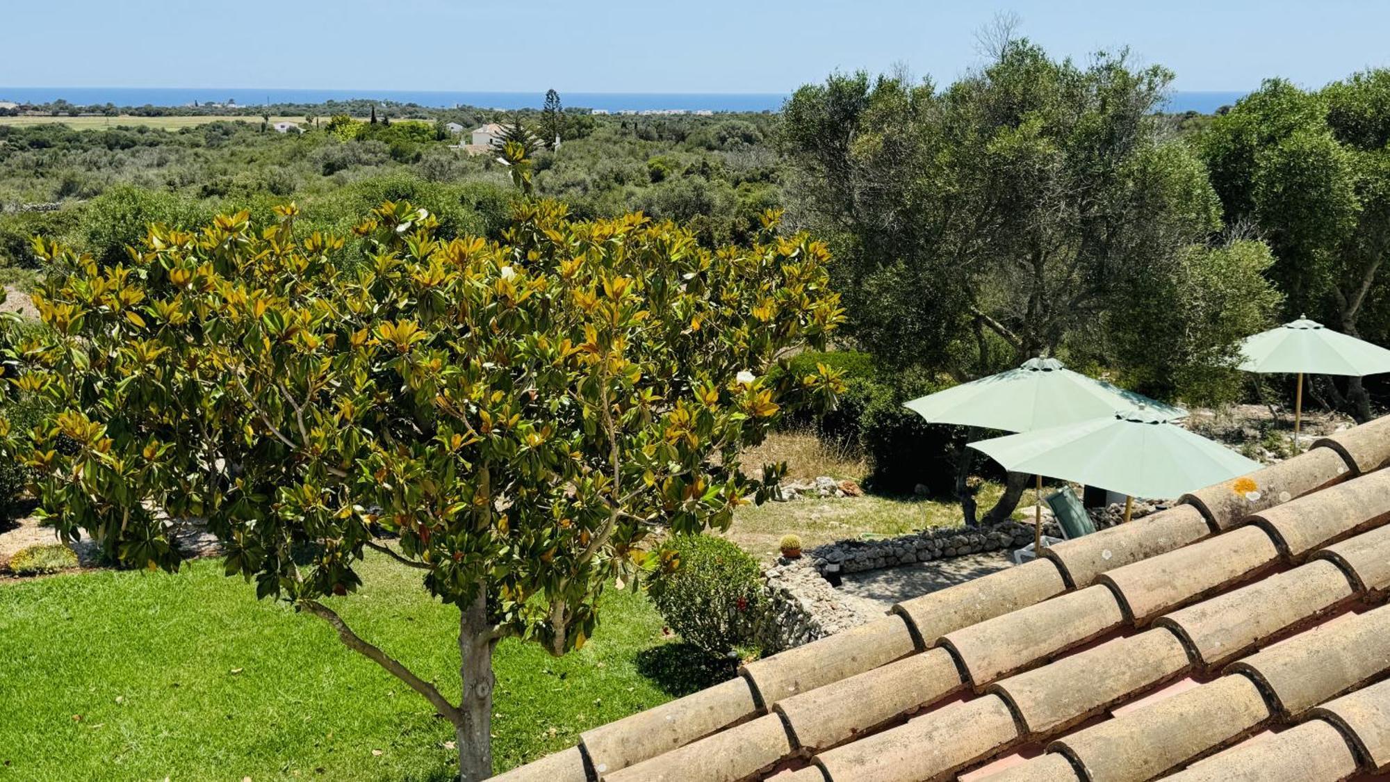 Casa Sabarraca