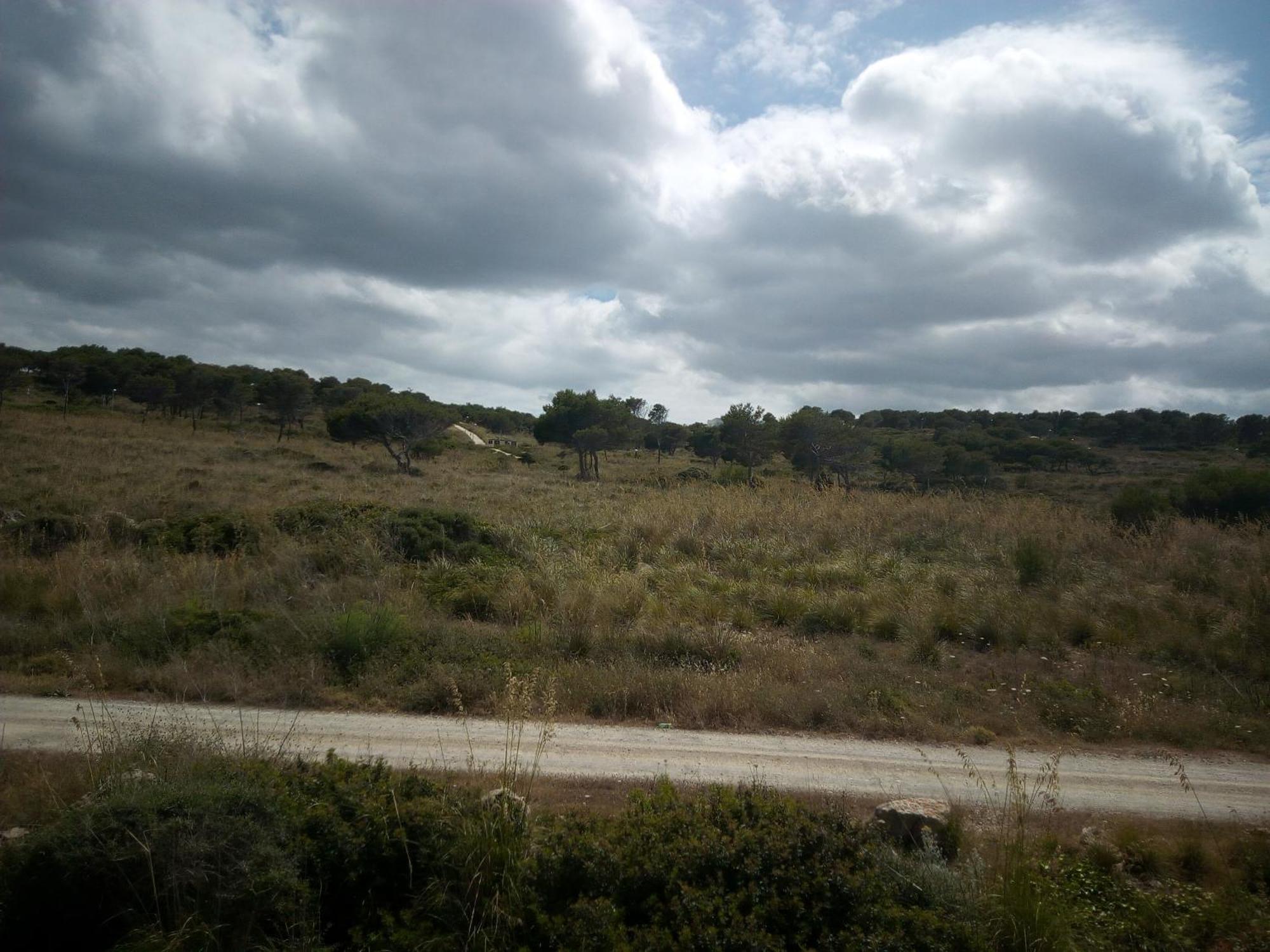 Apartamento Castellsol Arenal