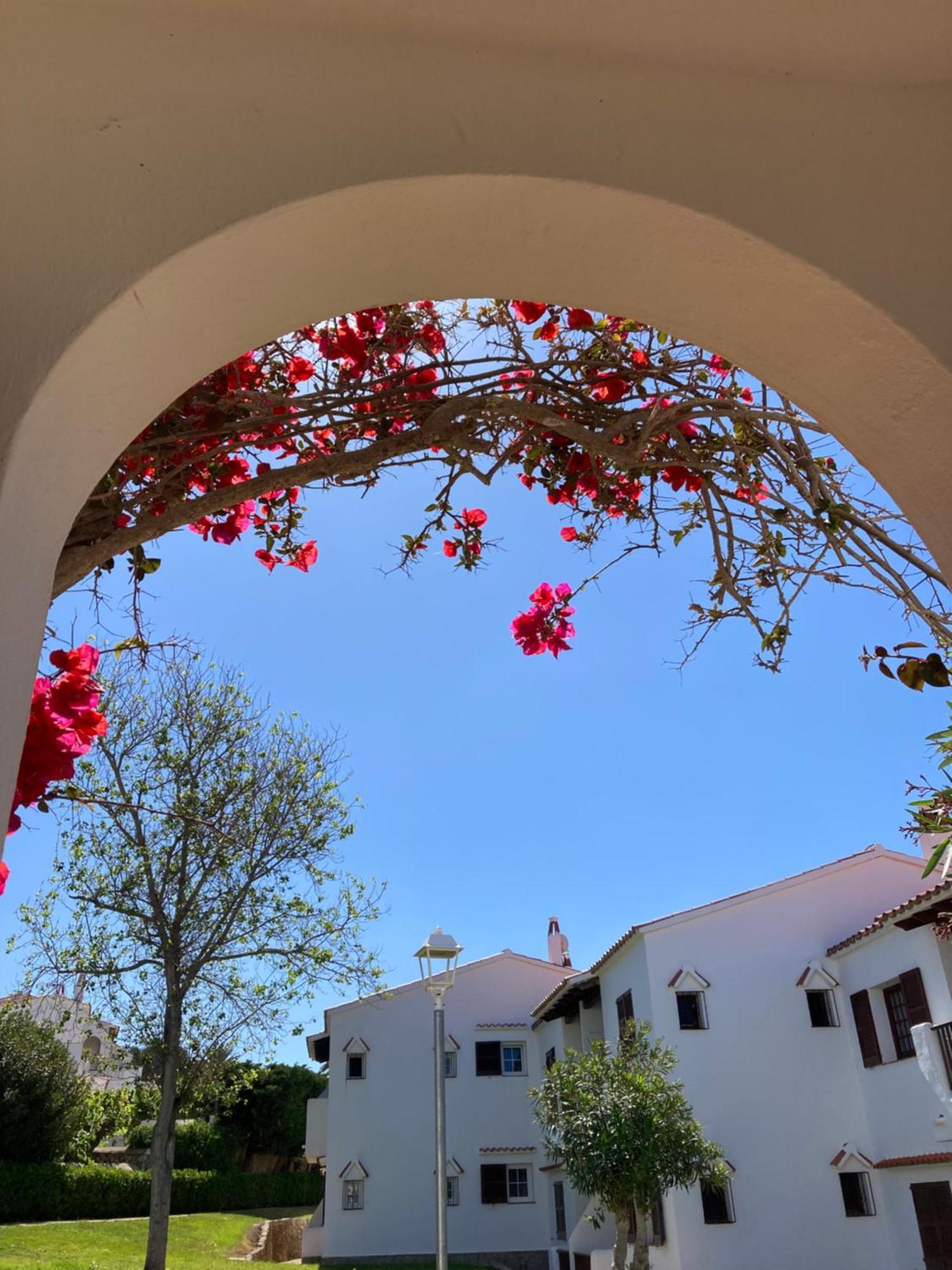 Apartamento 2 Bedroom Apartment, Son Bou, San Jamie,menorca