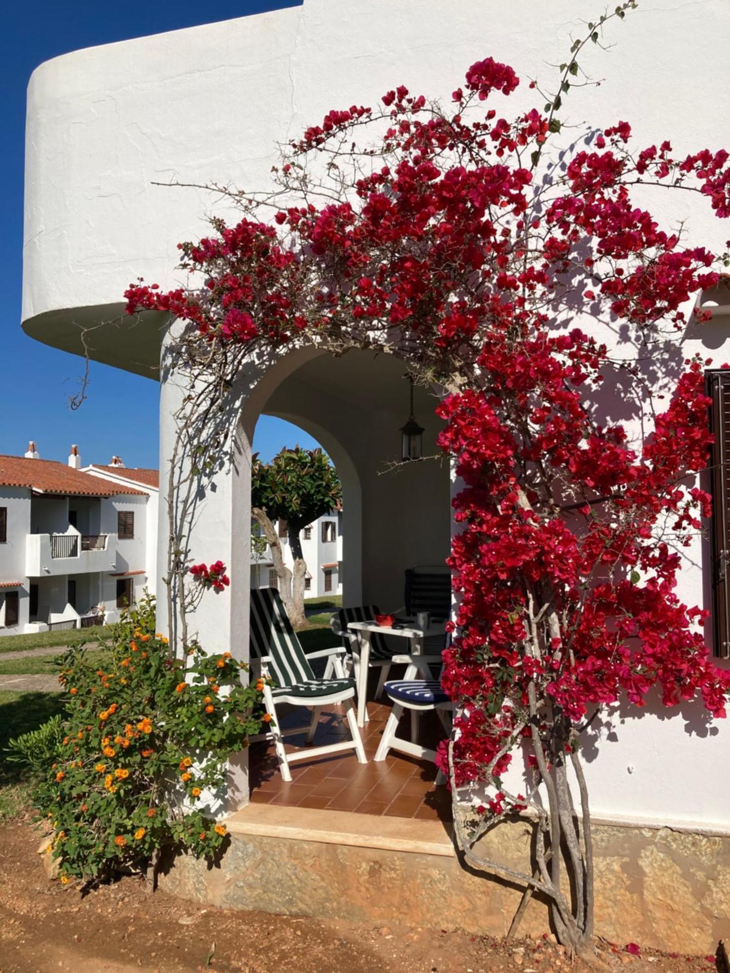 2 Bedroom Apartment, Son Bou, San Jamie,menorca Apartamento *