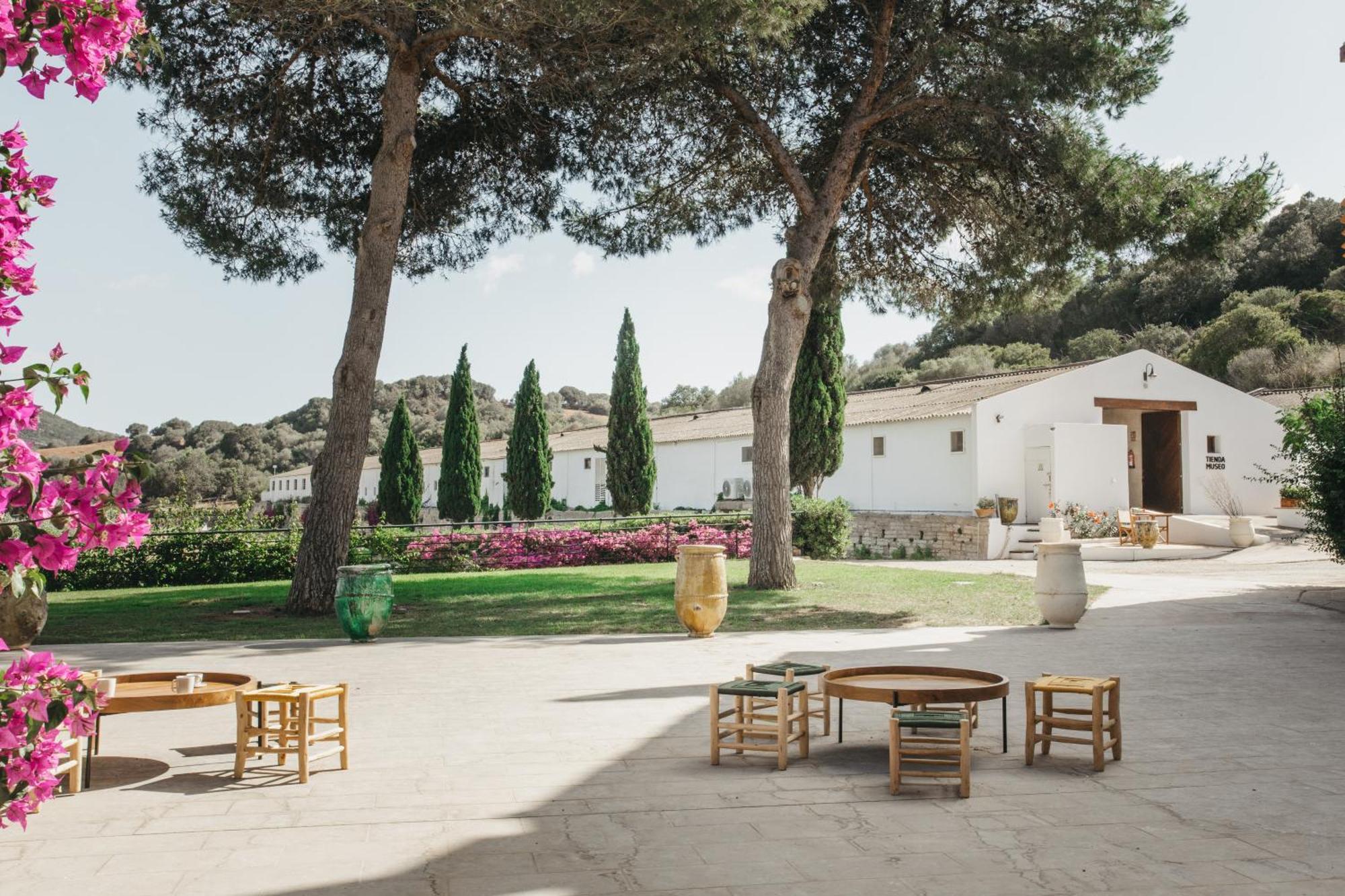 Rural Sant Patrici (adults Only) Ferreries (Ferrerías)