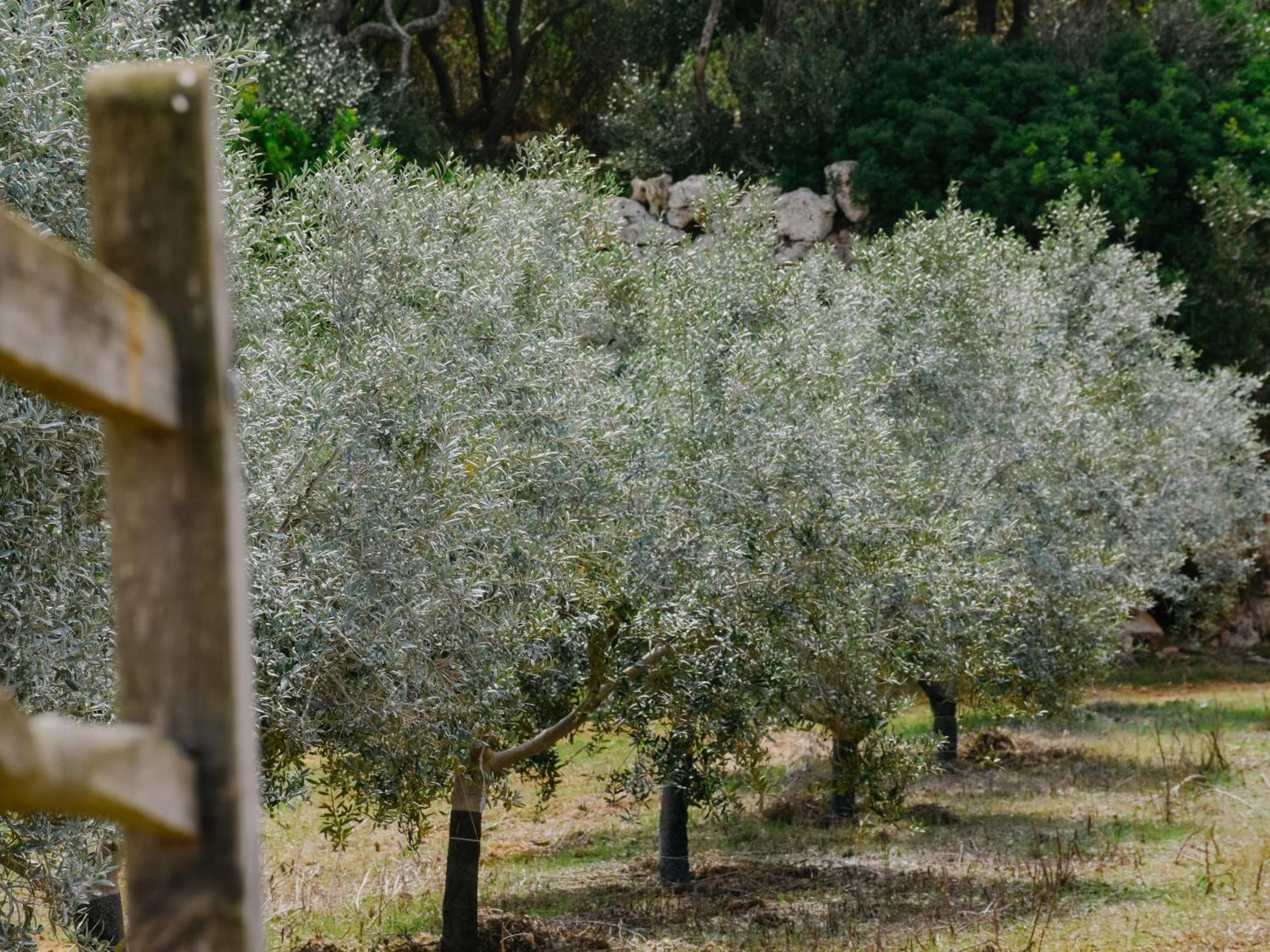 Hotel Rural Sant Joan De Binissaida 4*