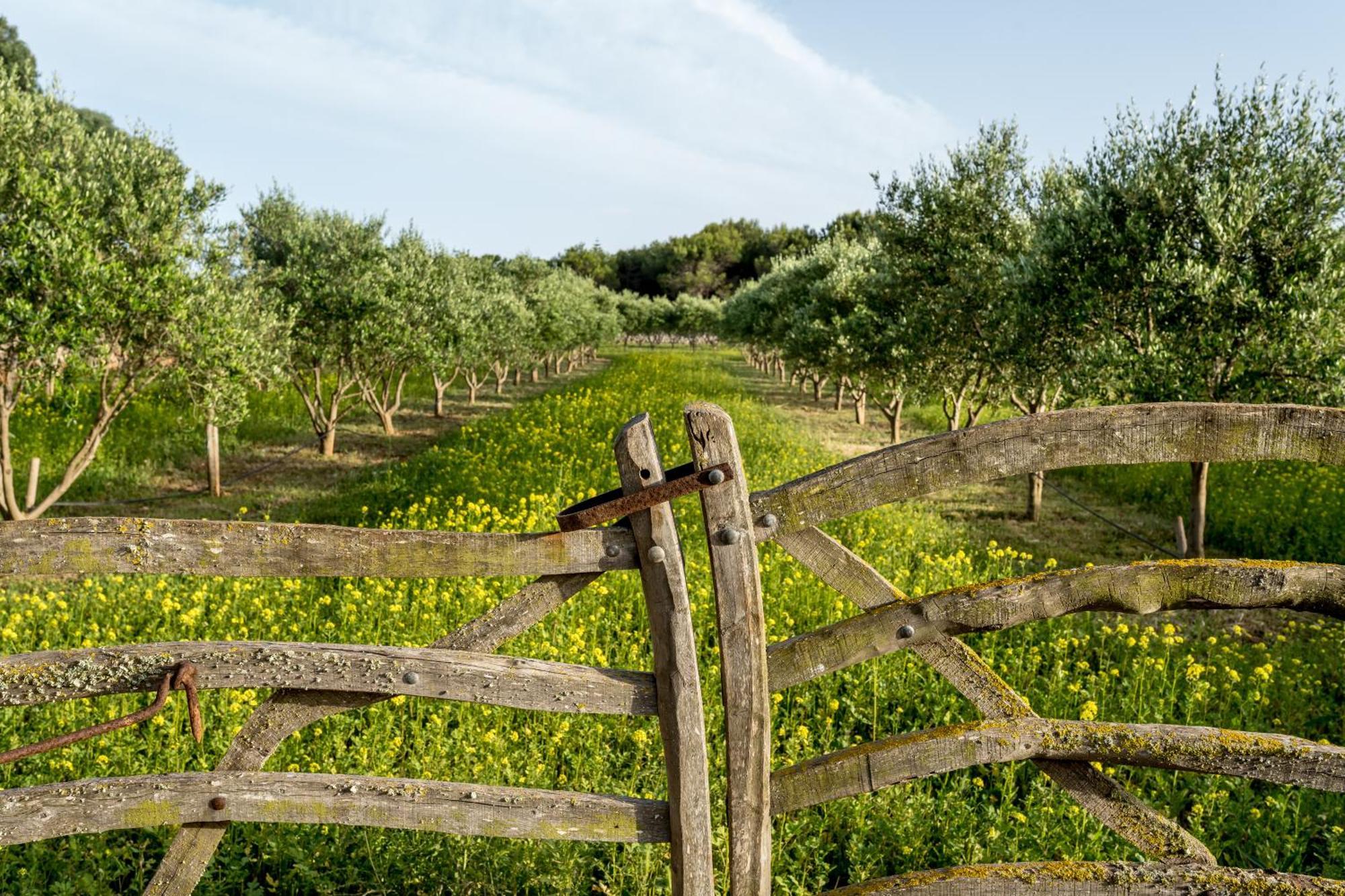 Rural Sant Joan De Binissaida Hotel Es Castell (Menorca)