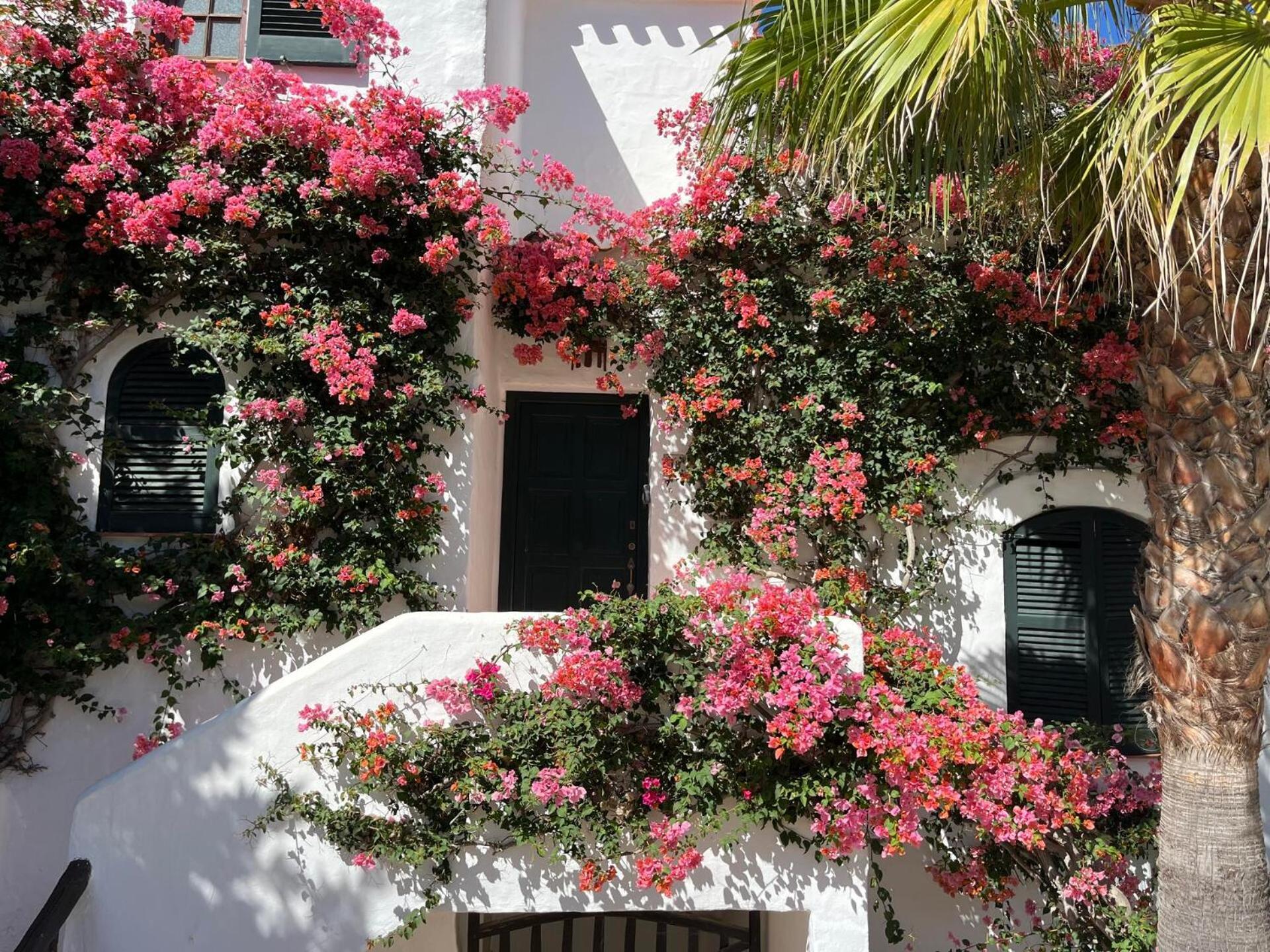 Apartamento Mar Y Sol By Som Menorca *