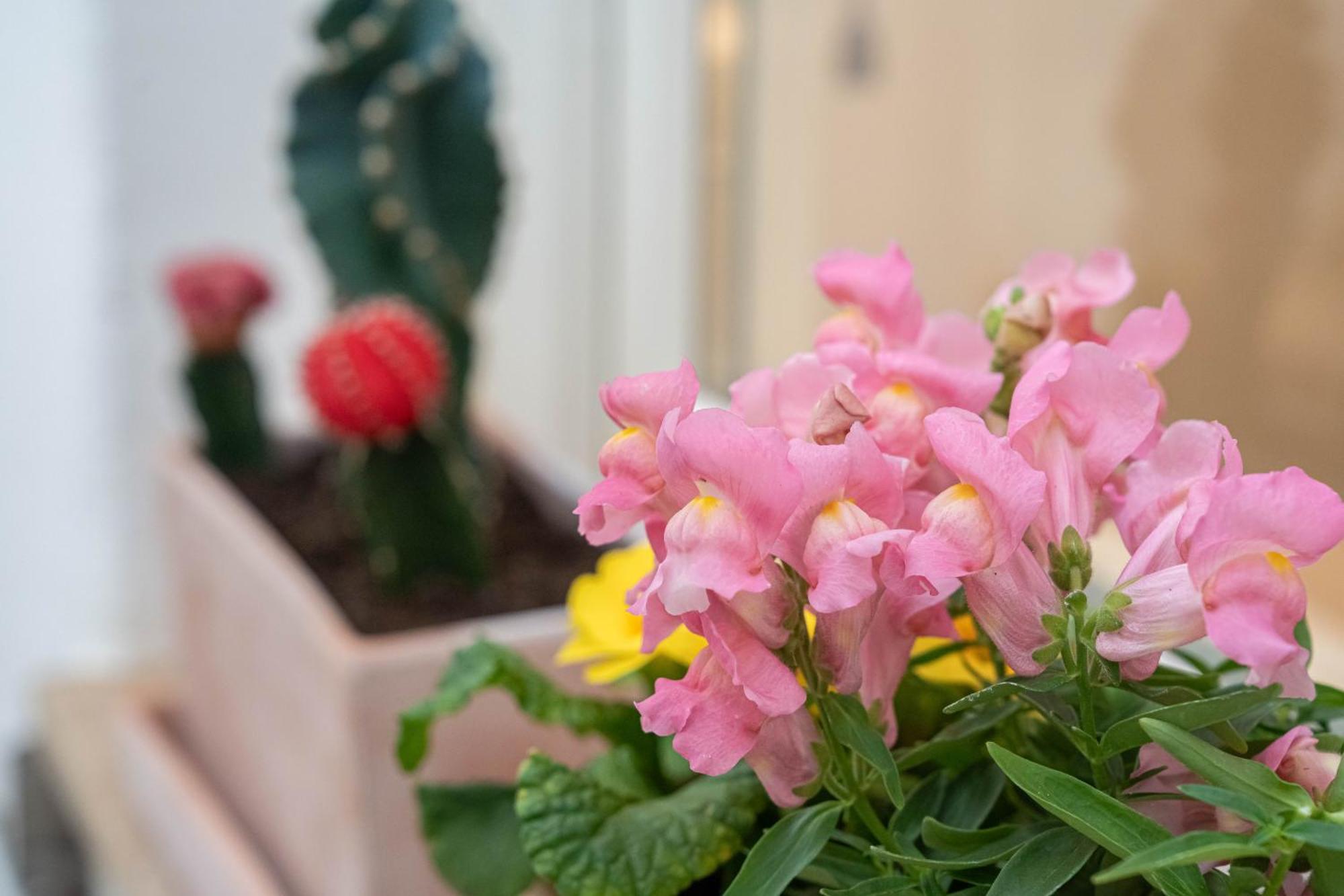 Hotel Romantic 5 Sentidos Ciutadella (Menorca)