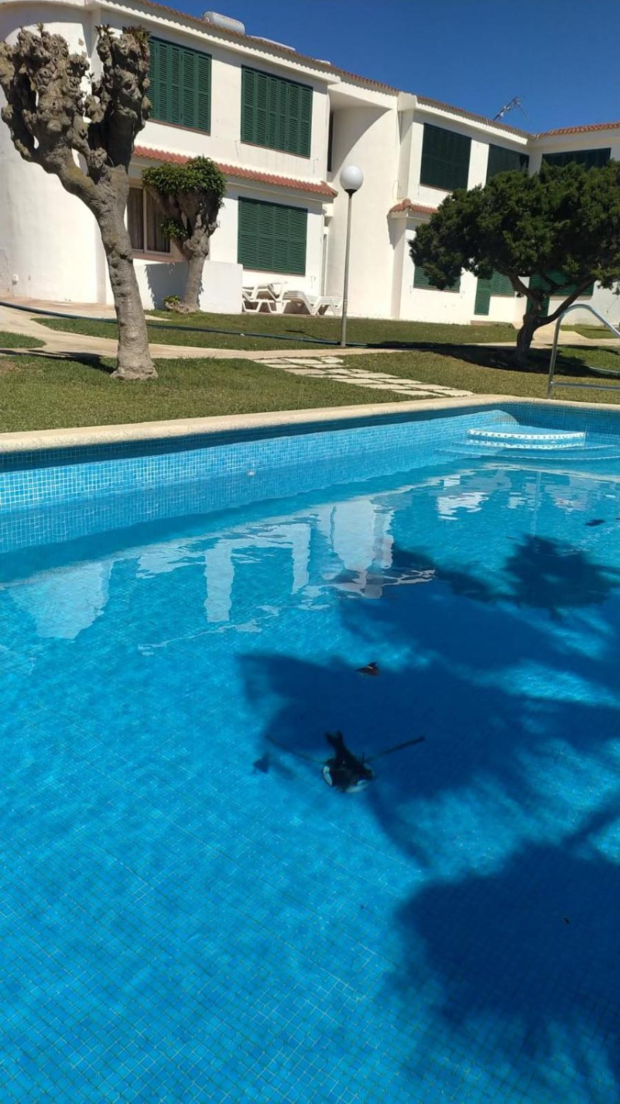 Forcat 25 Apartamento *