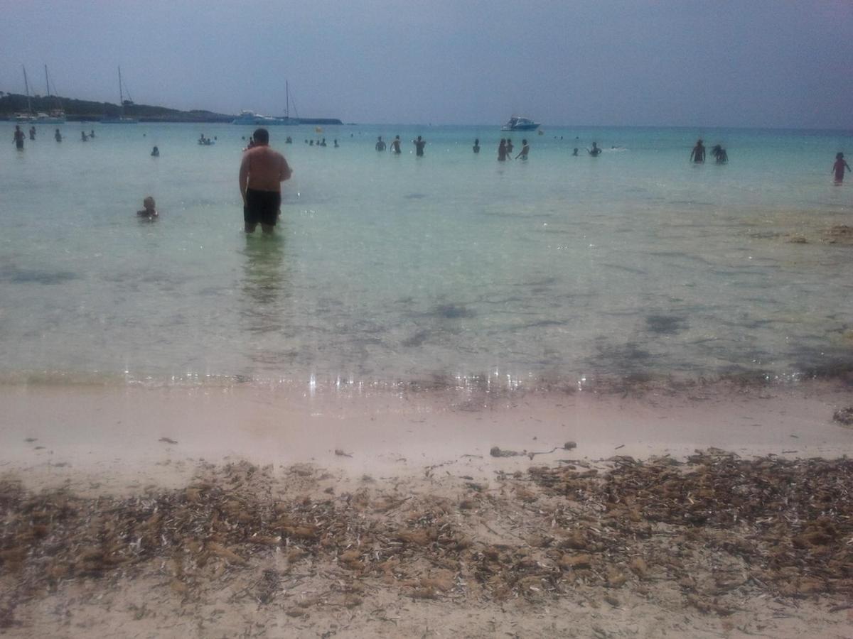 Aguaverde * Cala'N Blanes (Menorca)