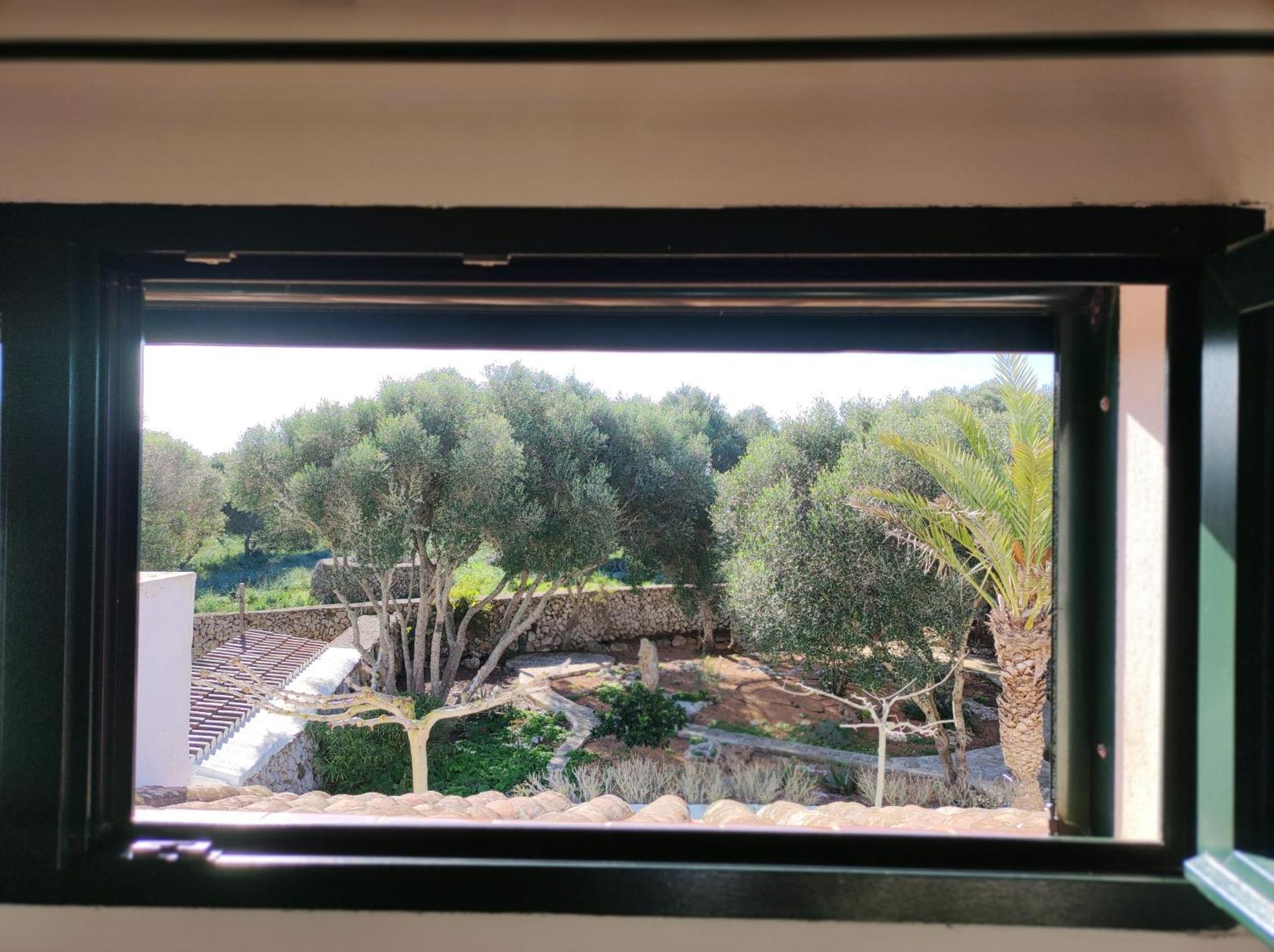 Country house Biniati Des Pi *