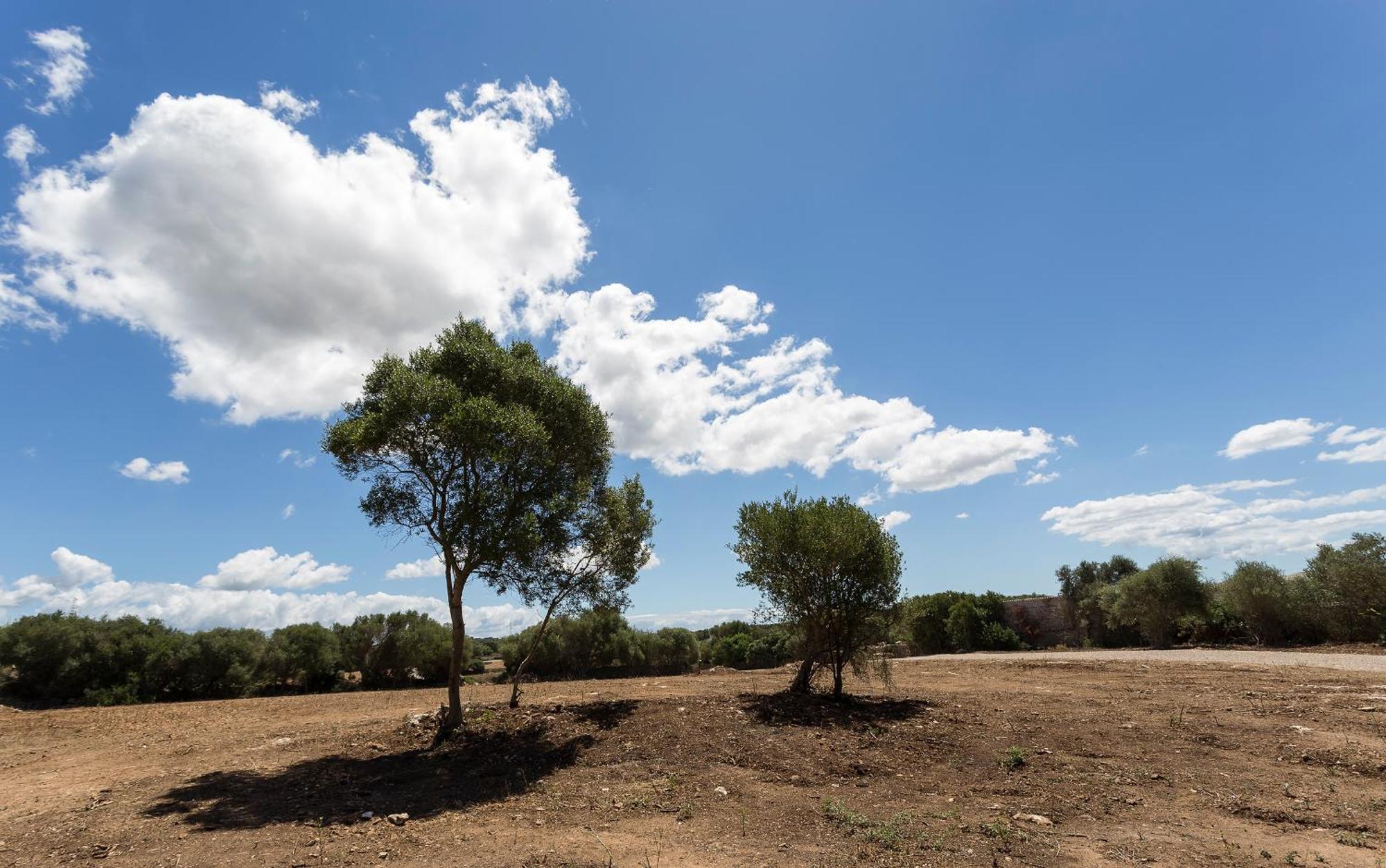 Santa Mariana Agroturismo