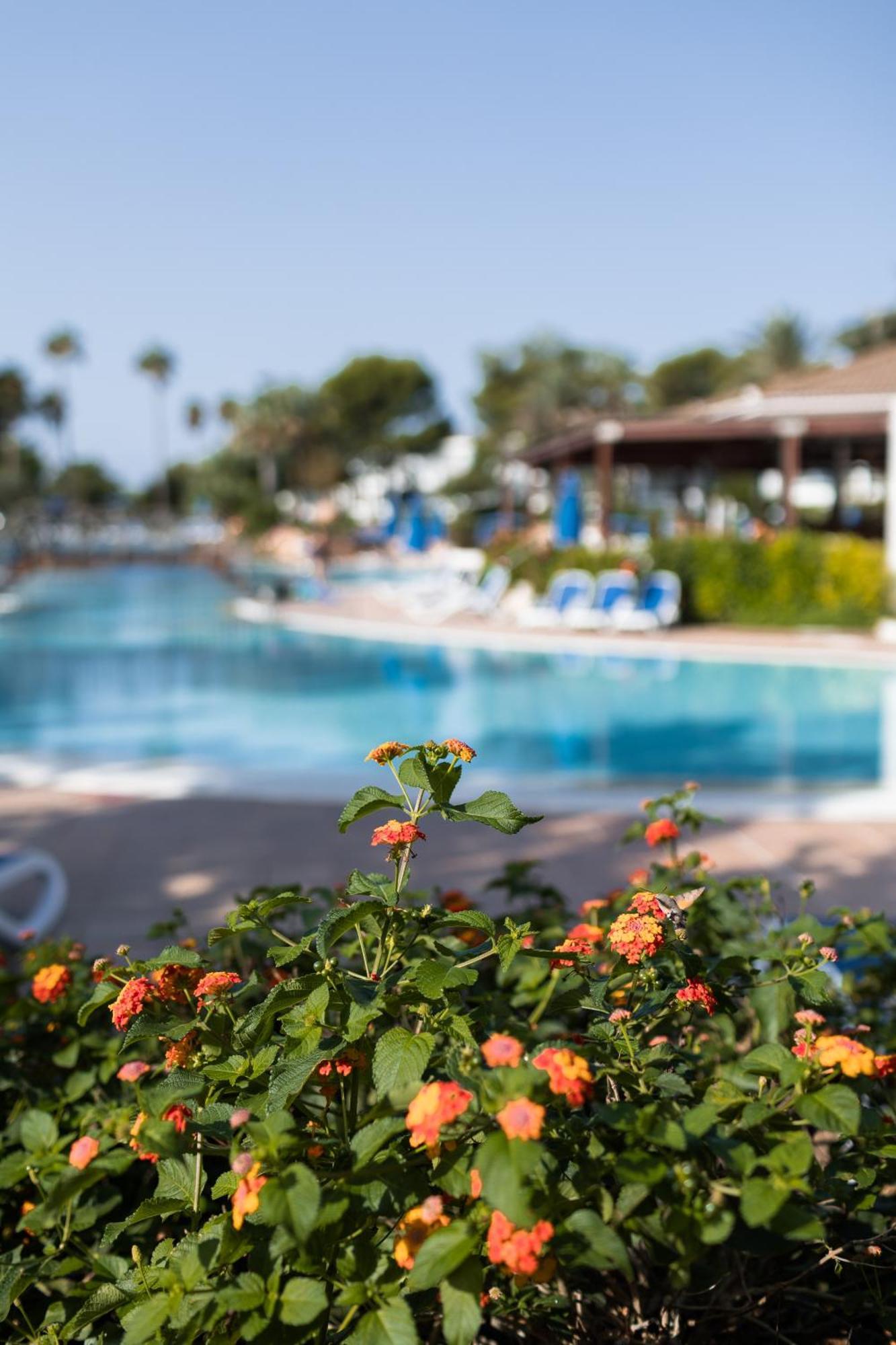Princesa Playa Resort 4*