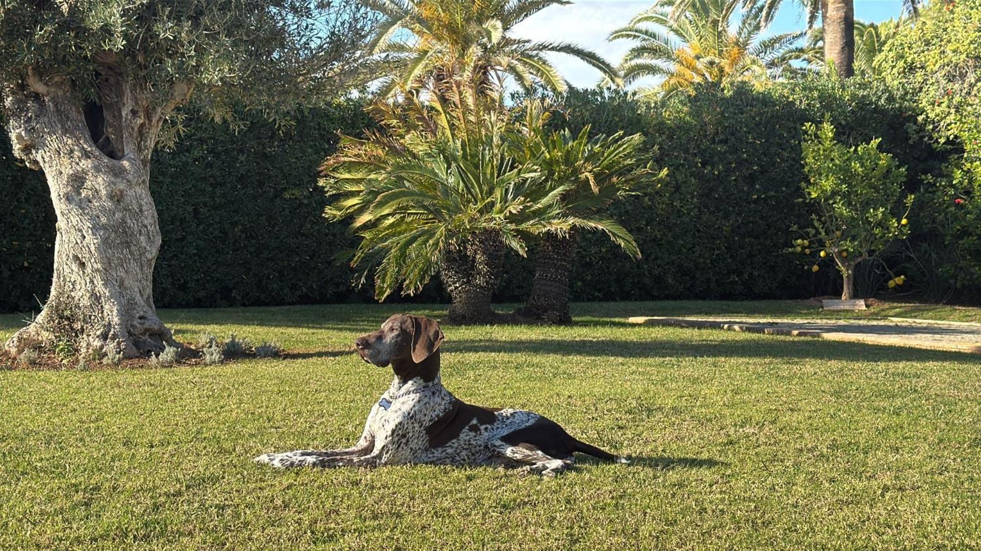 Villa La Calma Espectacular Con Jardin Y Piscina En Menorca *