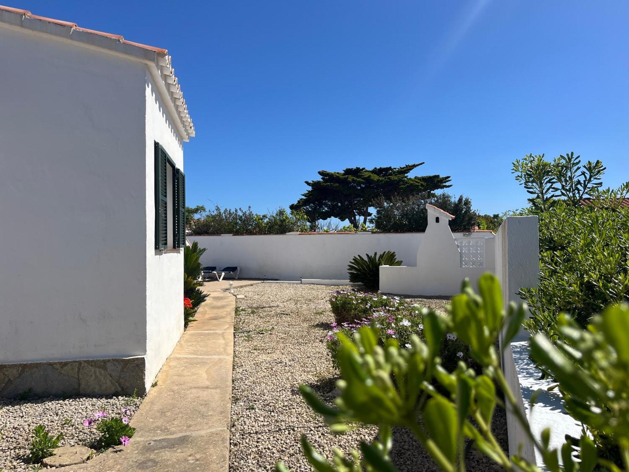 Coral Cala En Porter (Menorca)