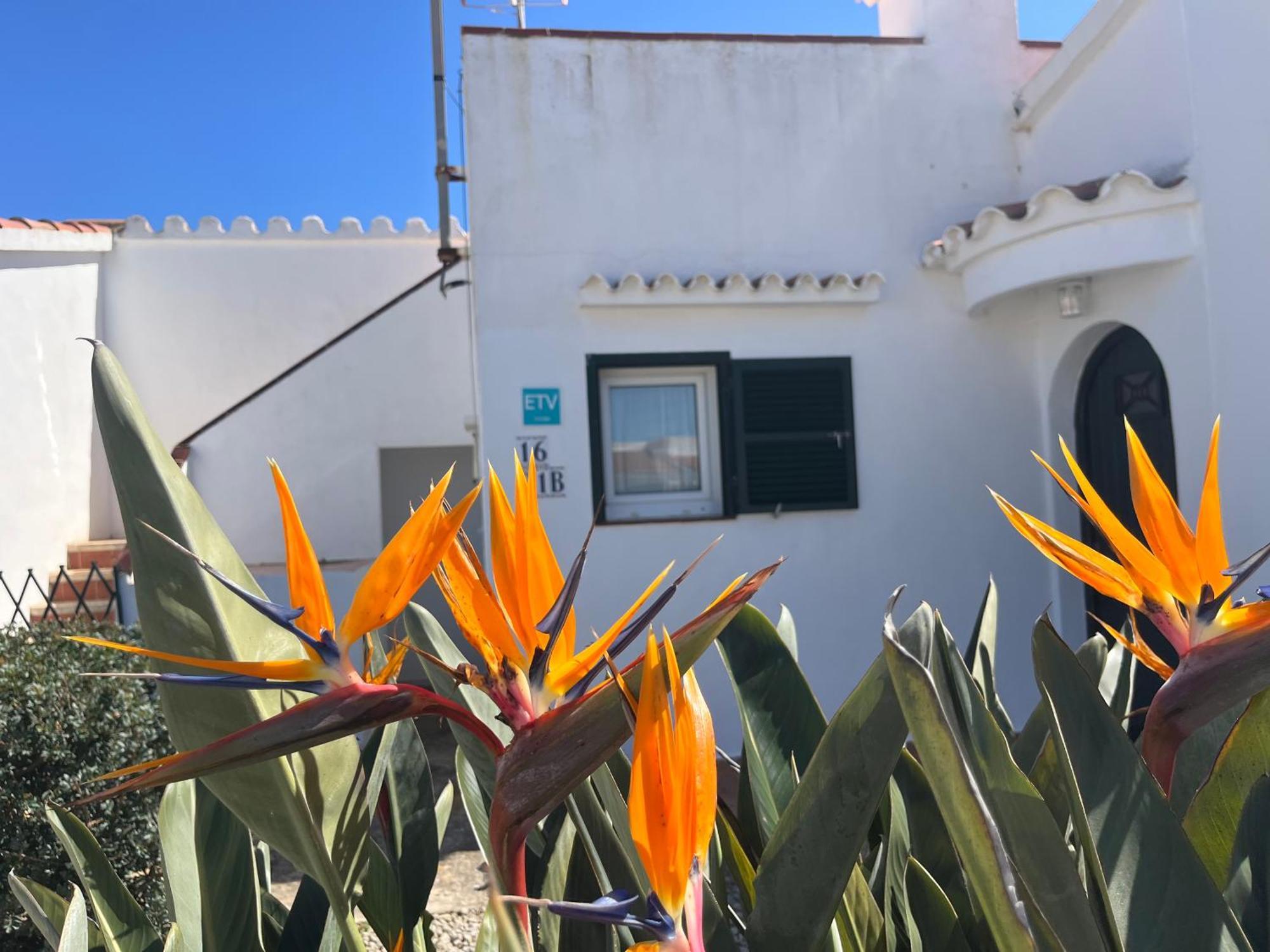 Coral Villa