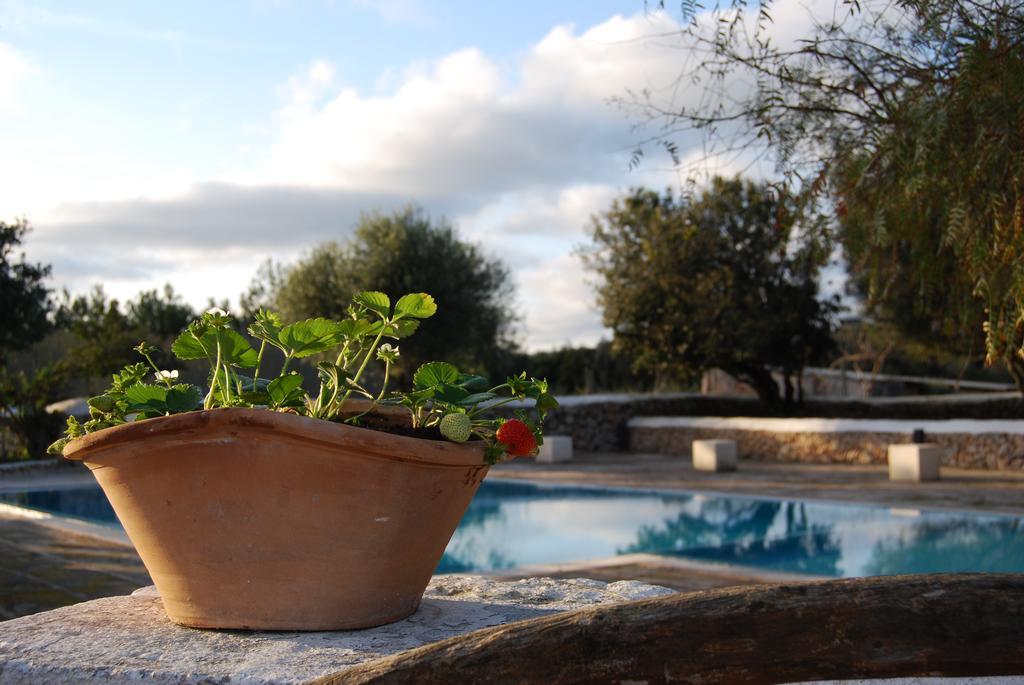 Country house Biniati Des Pi