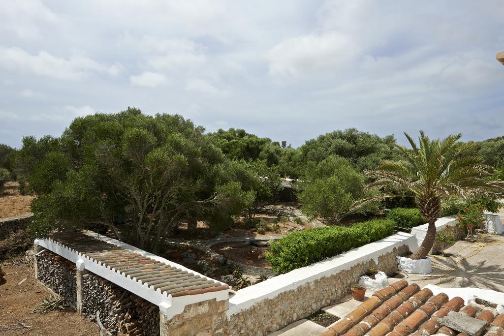 Biniati Des Pi