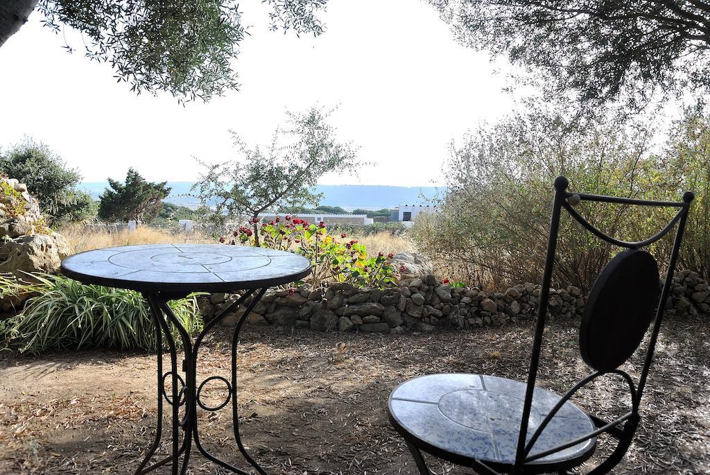 Agroturismo Agroturismo Sa Torre Blanca Port d'Addaia