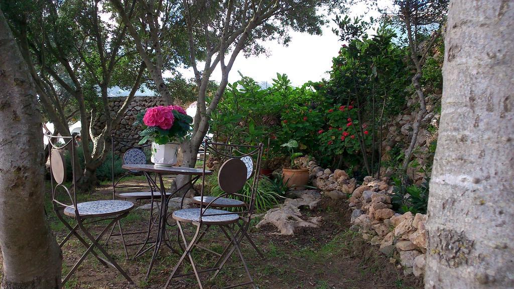 Agroturismo Sa Torre Blanca Farm stay *