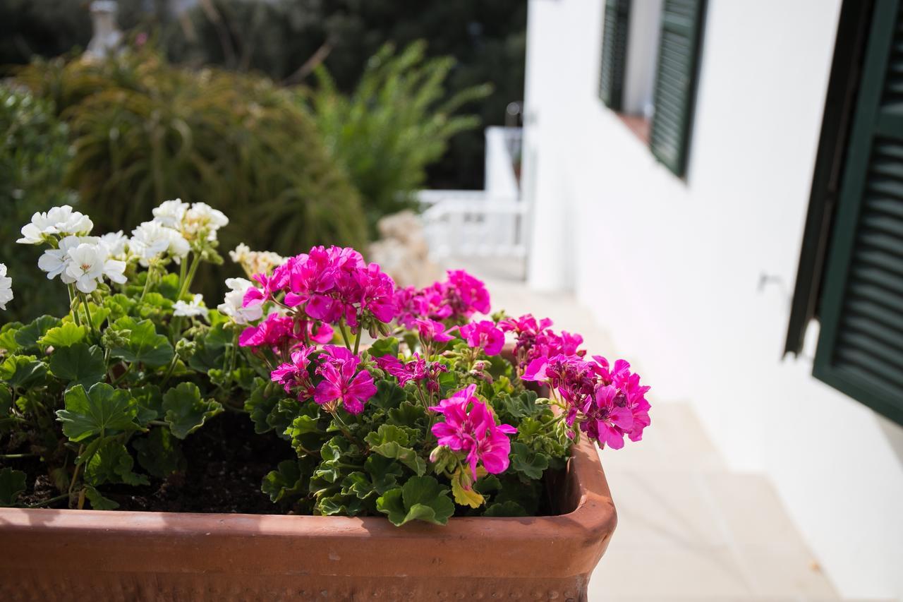 Apartamento Gama Cala Galdana (Menorca)