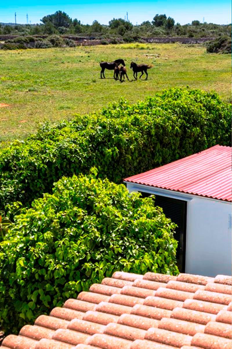 Casas Menorquinas * Cala Blanca (Menorca)