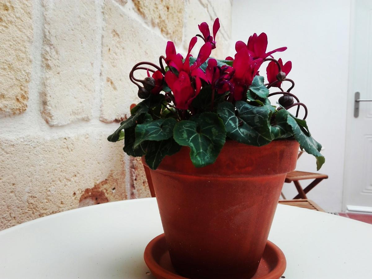 My Ciutadella Adults Only By My Ti