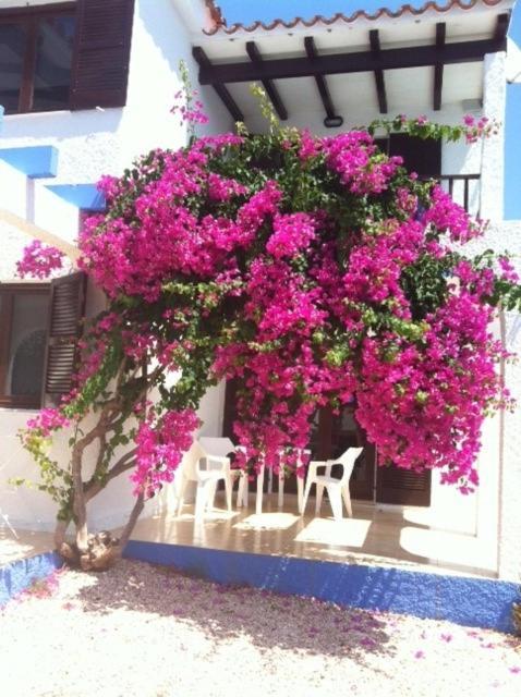 Apartamentos Blue Beach Menorca Apartment
