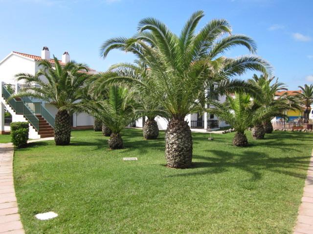 Apartamento Roc Oasis Park