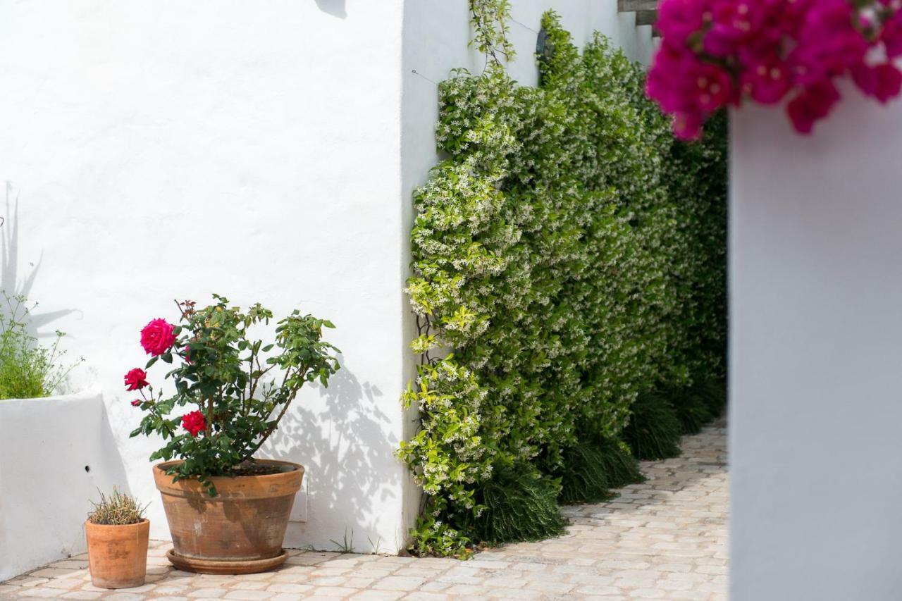 Coliving Add Livitum 4* Ciutadella (Menorca)