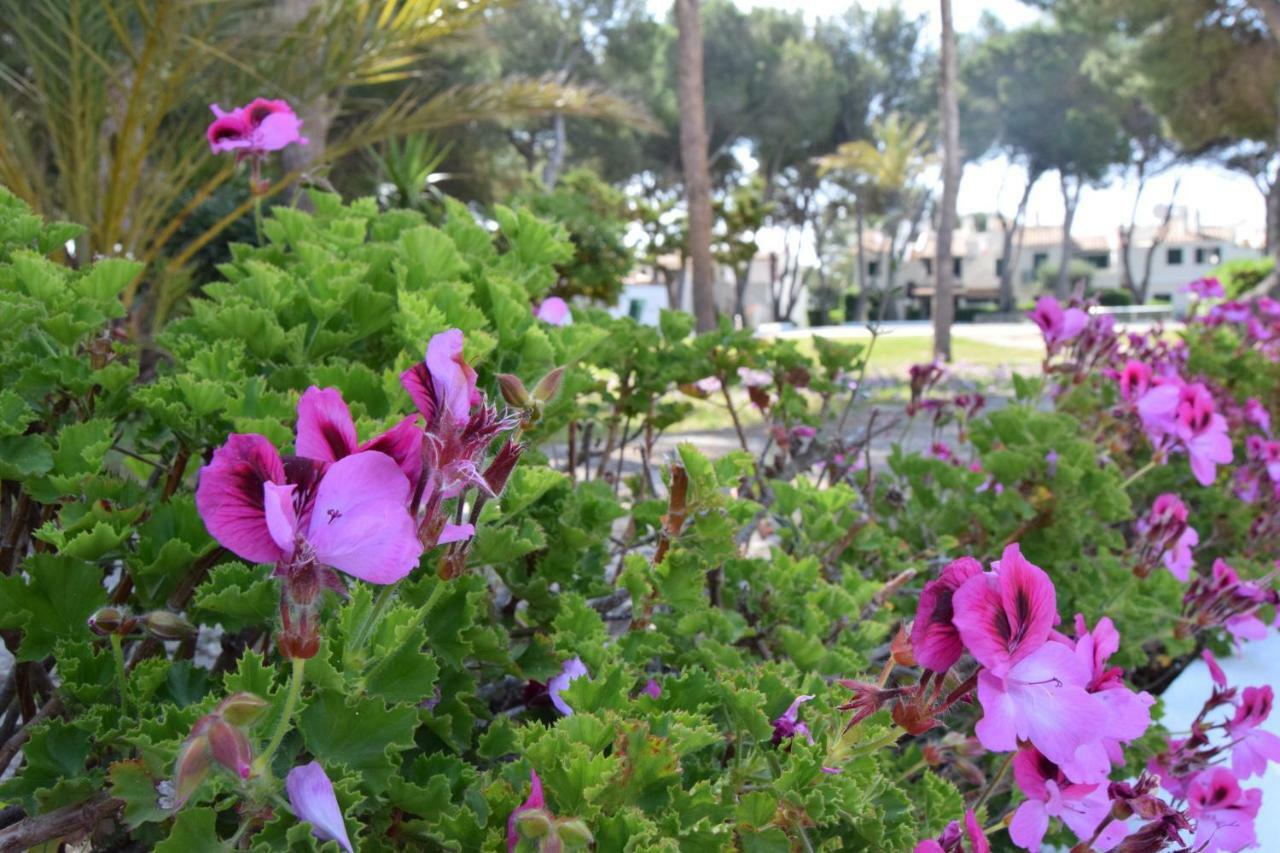 Apartamento Brisas I&ii Cala'N Bosch (Menorca)