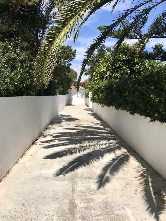 La Rosa Cala Blanca (Menorca)