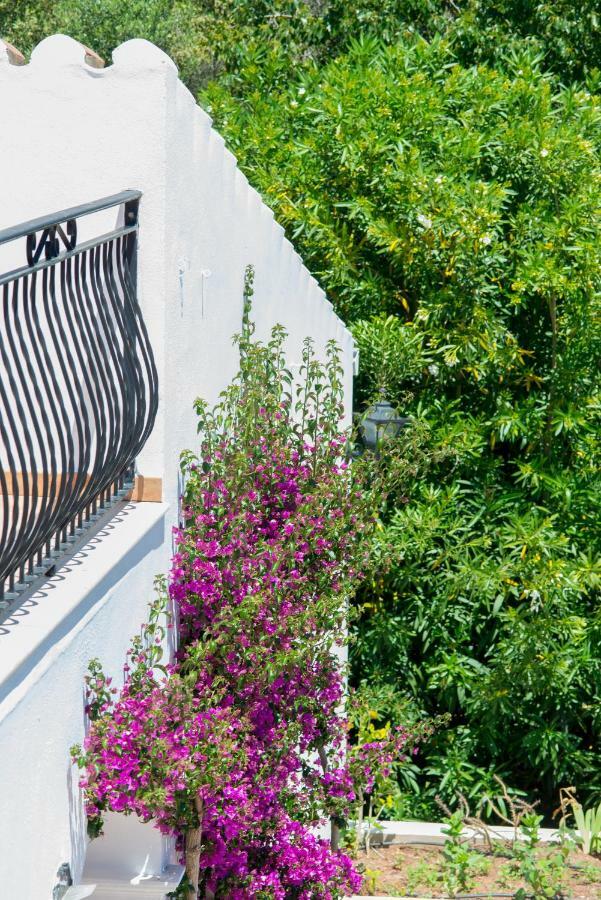 Villa Finca Son Martorellet