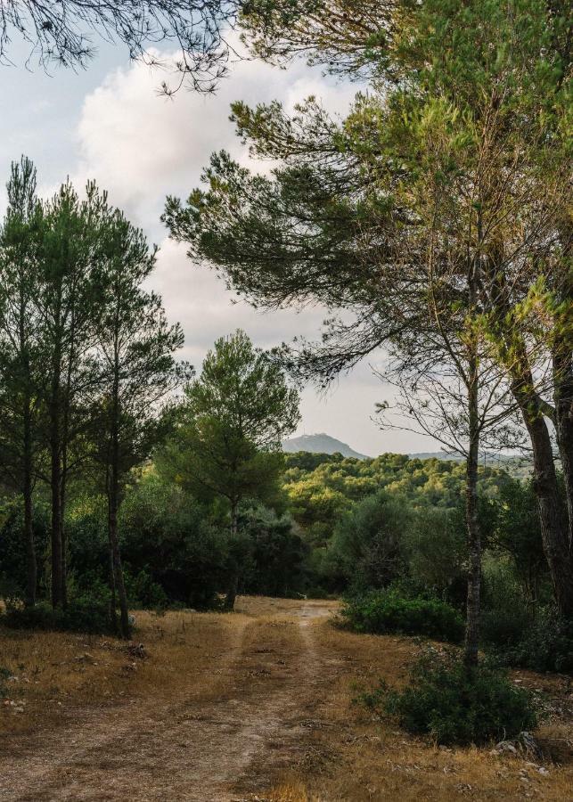 Llucasaldent Gran Menorca - Adults Only