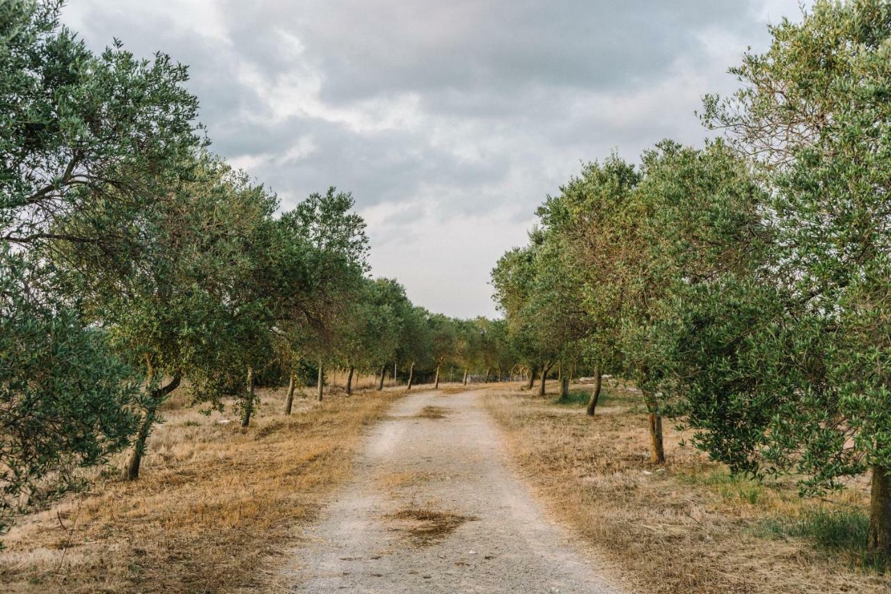Llucasaldent Gran Menorca - Adults Only Agroturismo