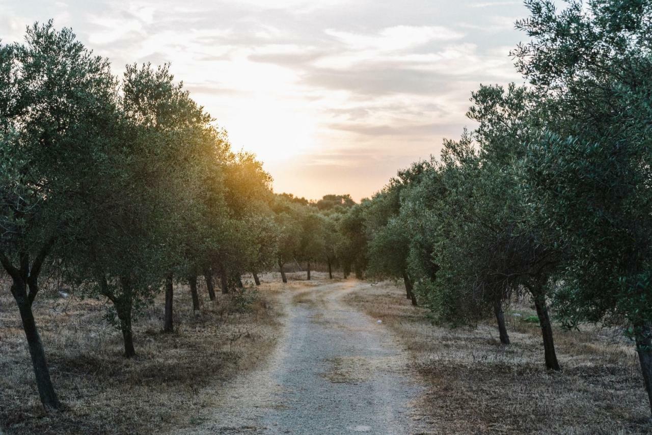 Llucasaldent Gran Menorca - Adults Only *