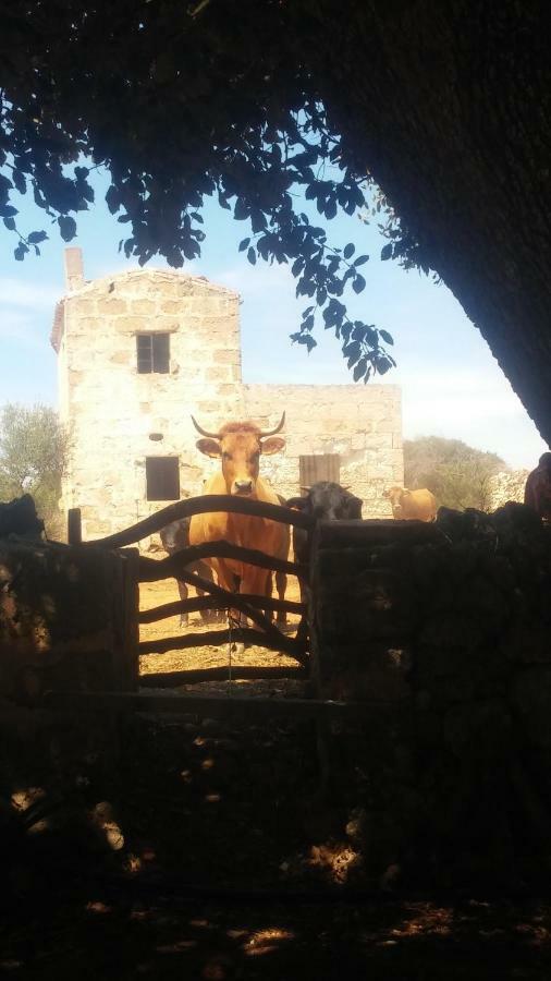 Agroturismo Sant Tomas *