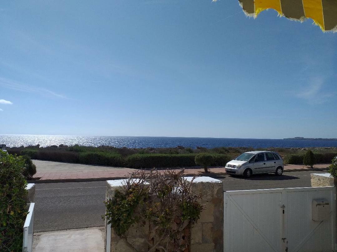 Delfines Cala Blanca (Menorca)