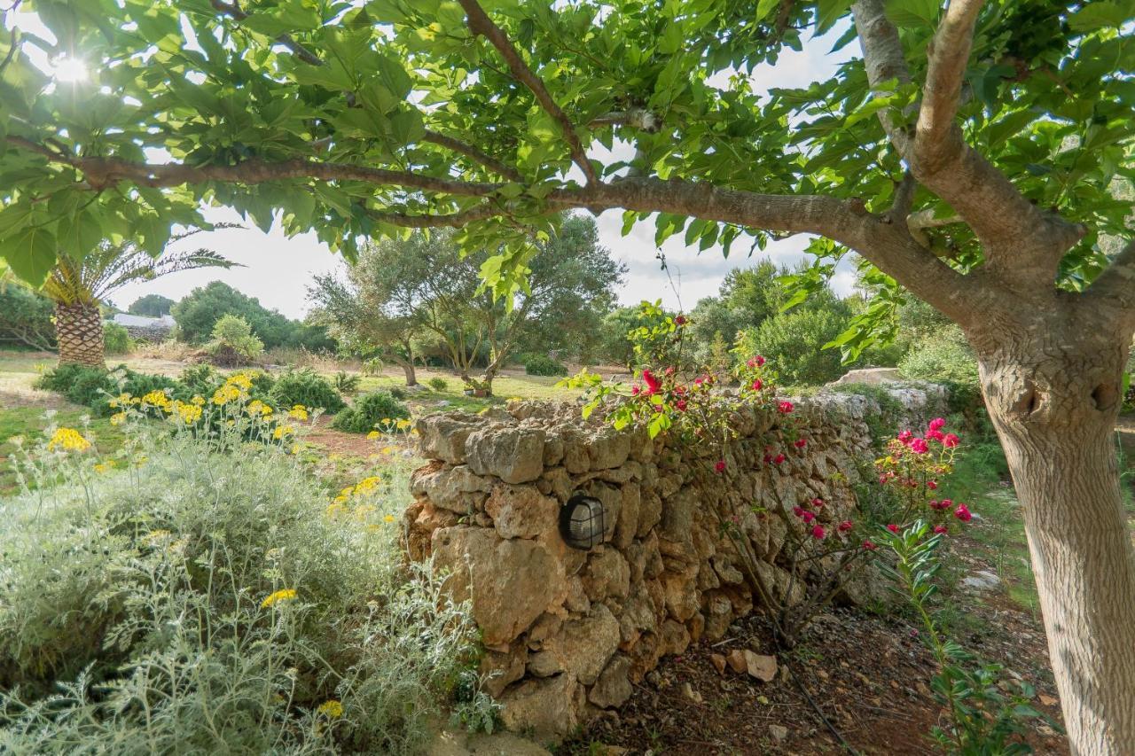 La Casa En El Pinar