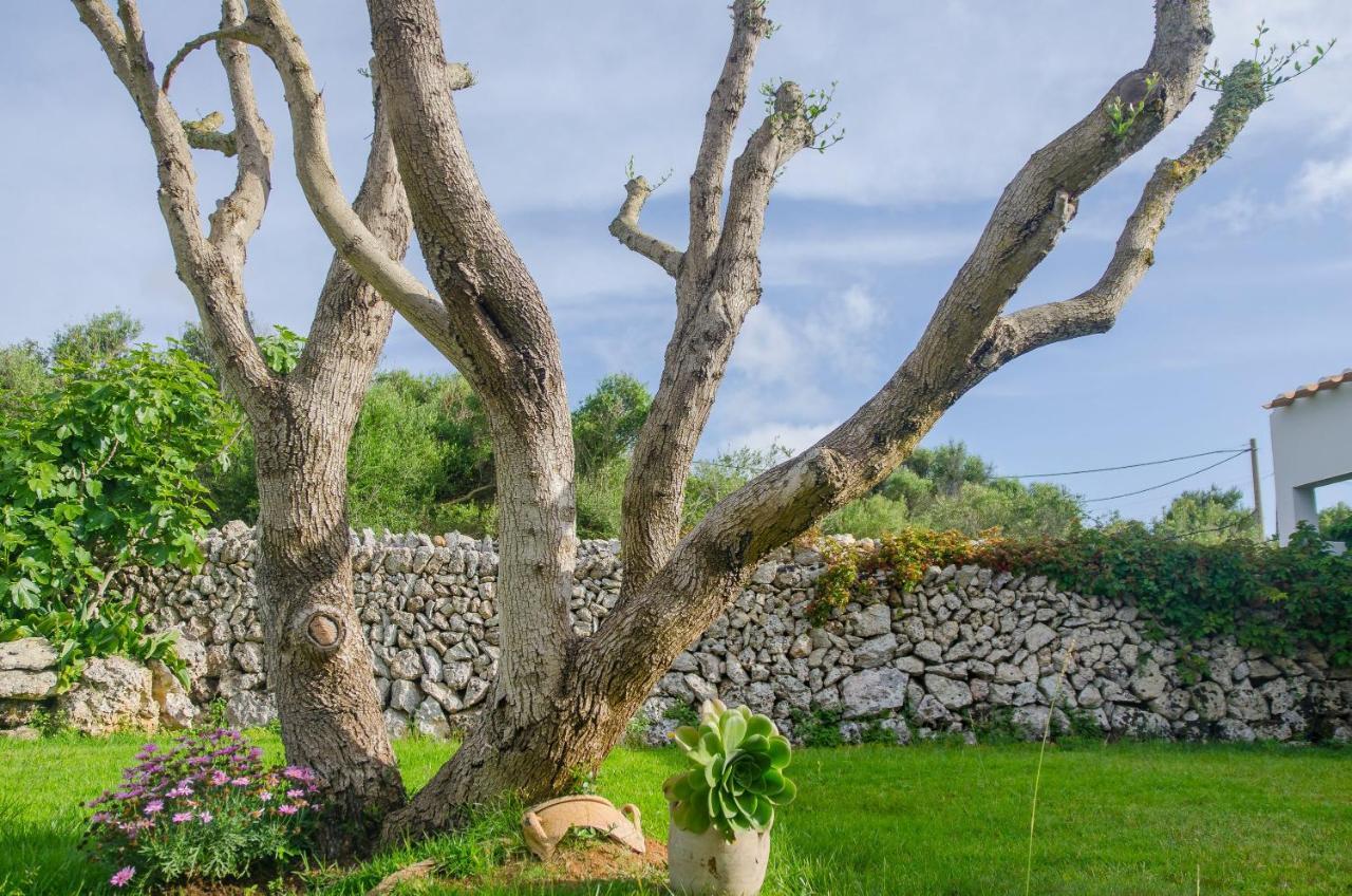 La Casa En El Pinar * Biniancolla