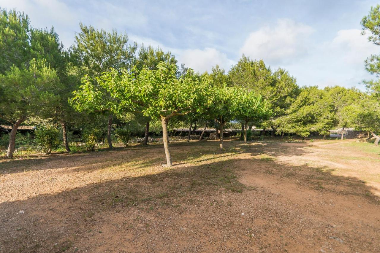 Villa La Casa En El Pinar *