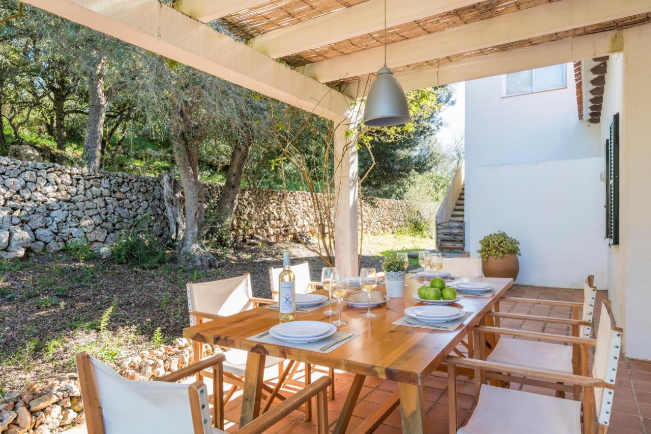 Finca Ses Curtanetes *
