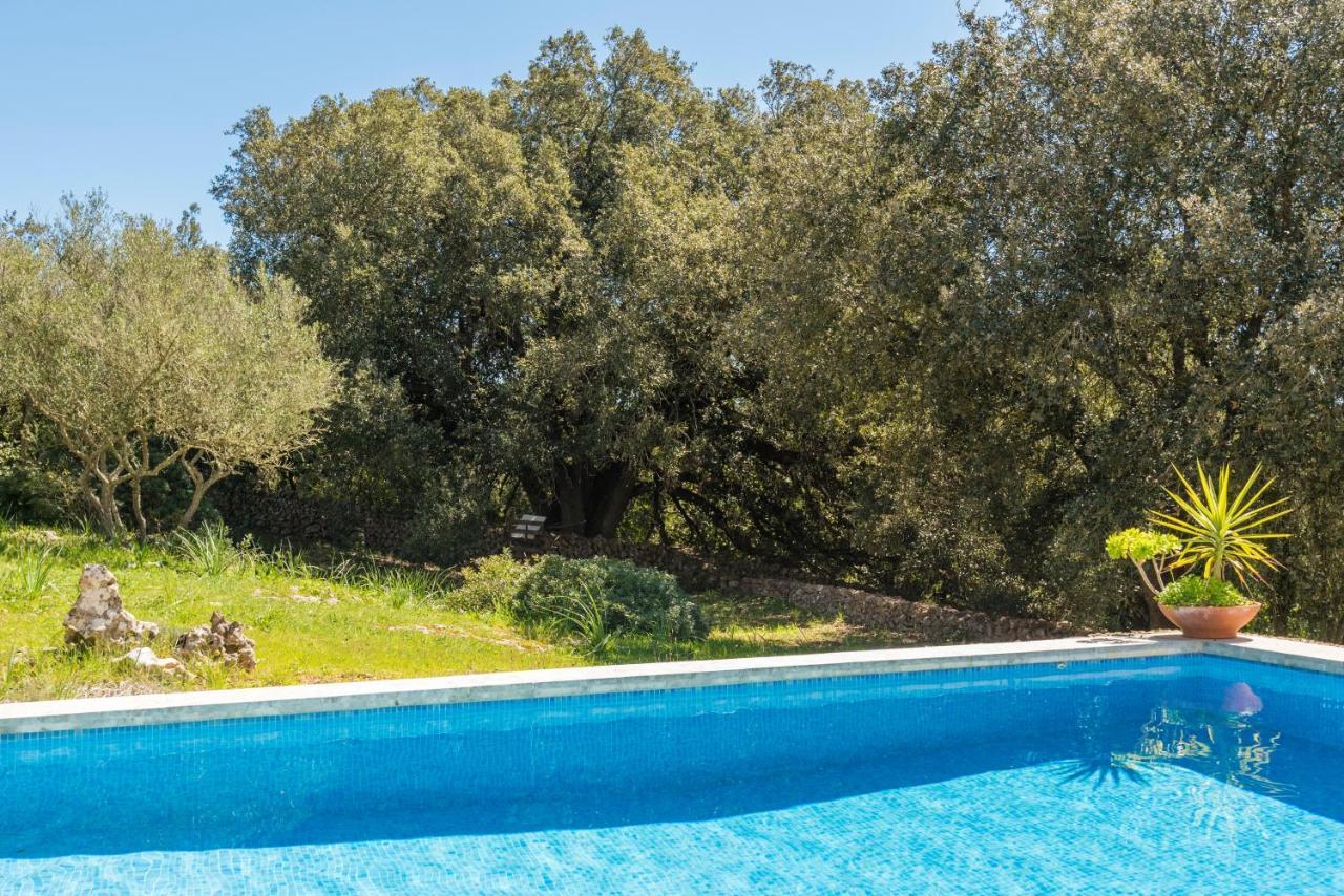 Finca Ses Curtanetes
